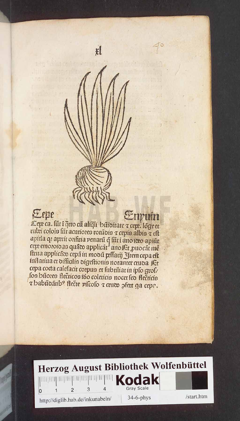 http://diglib.hab.de/inkunabeln/34-6-phys/00083.jpg