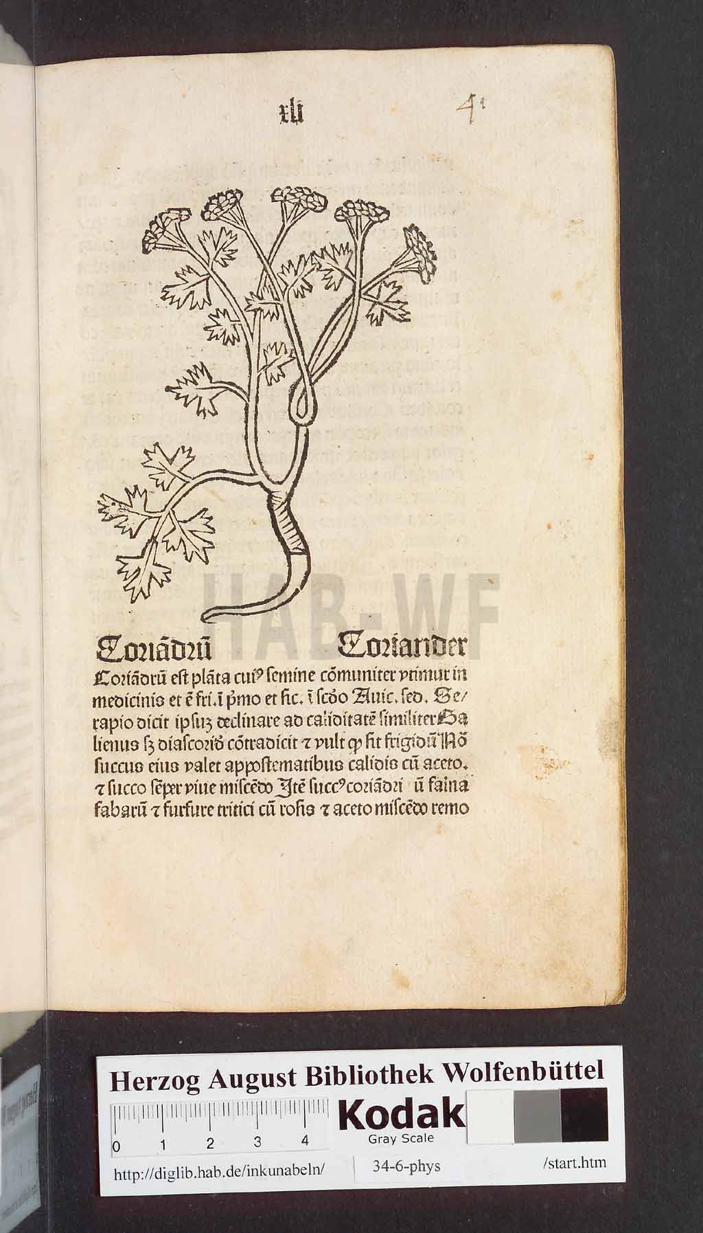 http://diglib.hab.de/inkunabeln/34-6-phys/00085.jpg