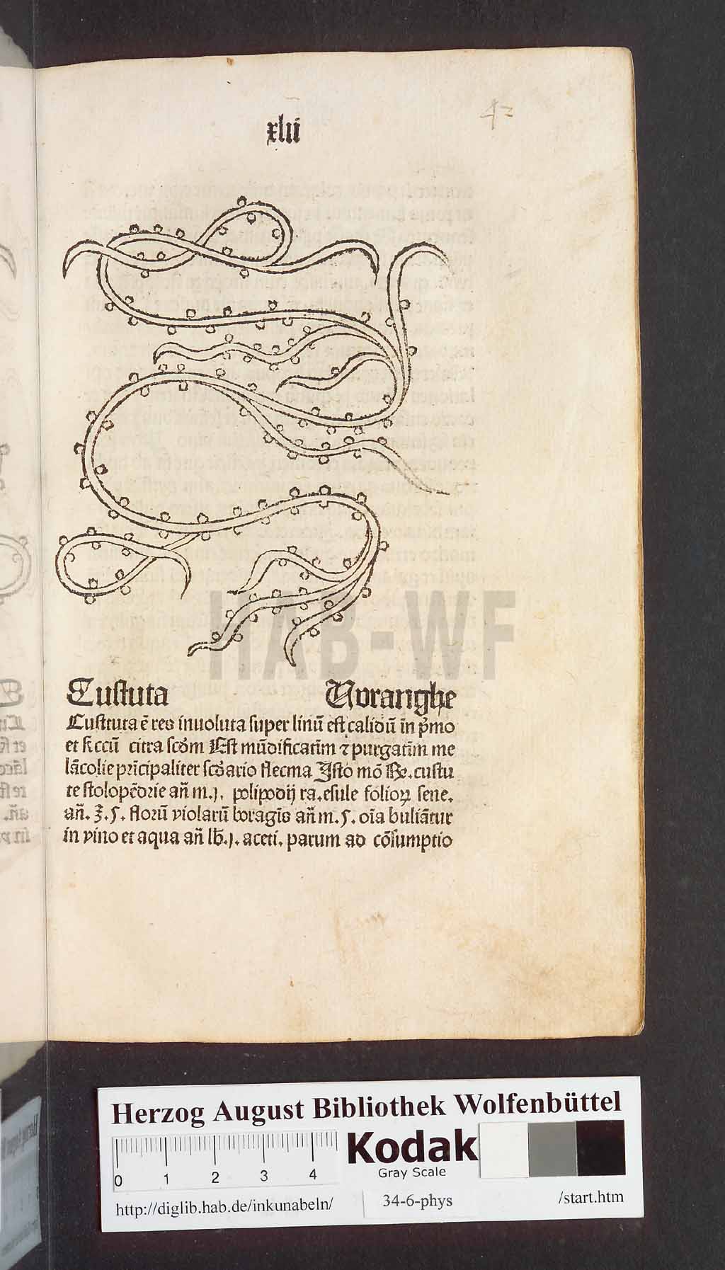 http://diglib.hab.de/inkunabeln/34-6-phys/00087.jpg