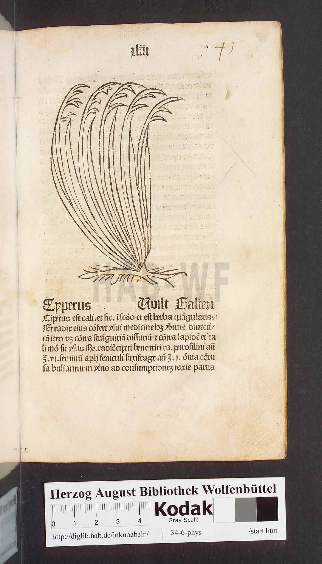 http://diglib.hab.de/inkunabeln/34-6-phys/00089.jpg