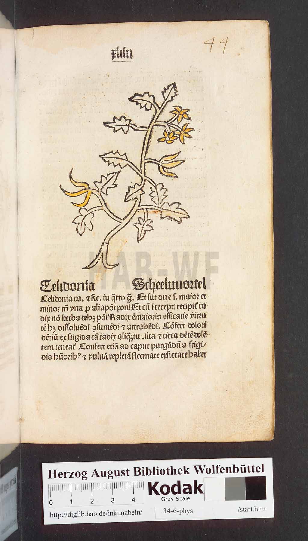 http://diglib.hab.de/inkunabeln/34-6-phys/00091.jpg
