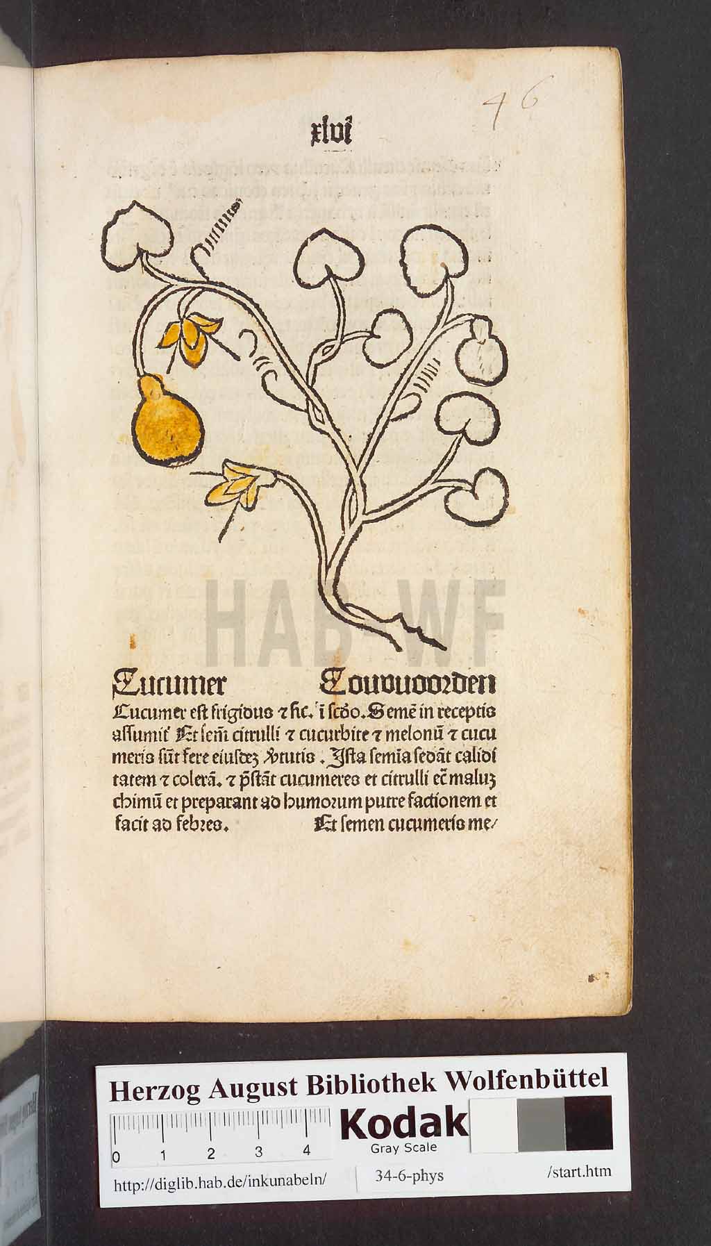 http://diglib.hab.de/inkunabeln/34-6-phys/00095.jpg