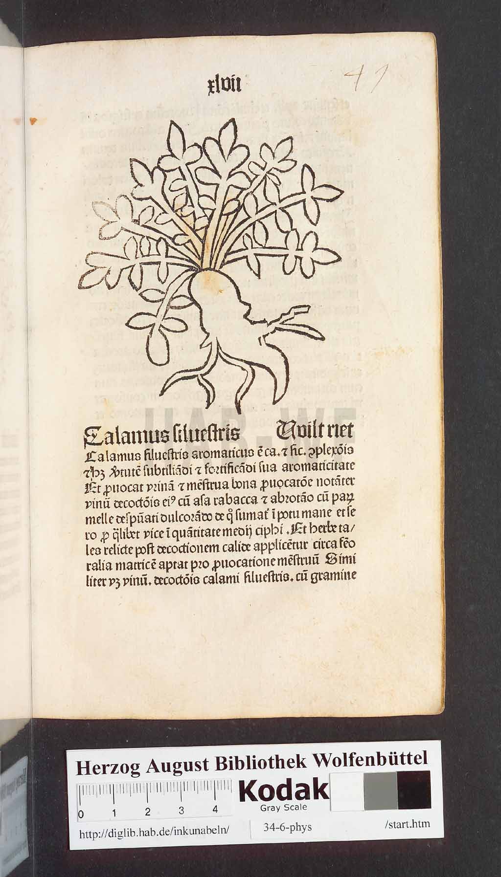 http://diglib.hab.de/inkunabeln/34-6-phys/00097.jpg