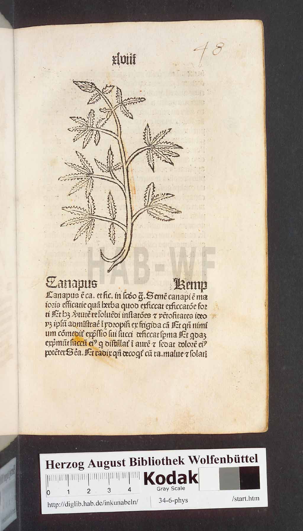 http://diglib.hab.de/inkunabeln/34-6-phys/00099.jpg