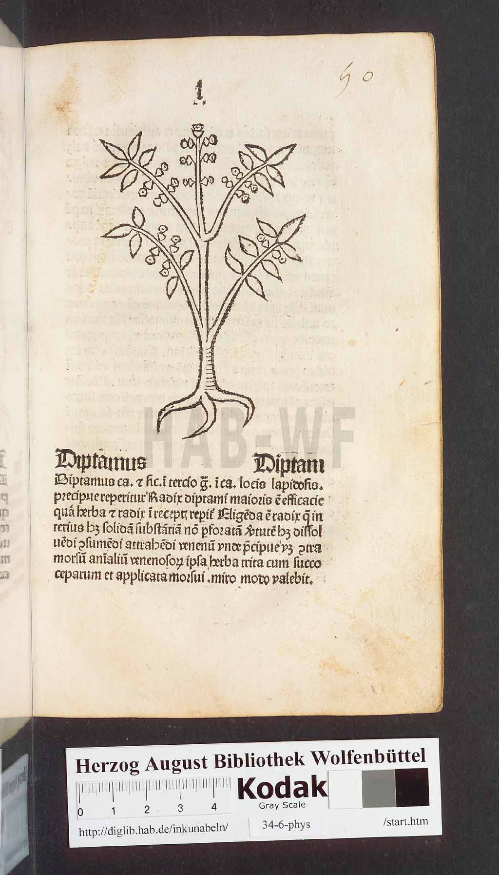 http://diglib.hab.de/inkunabeln/34-6-phys/00103.jpg