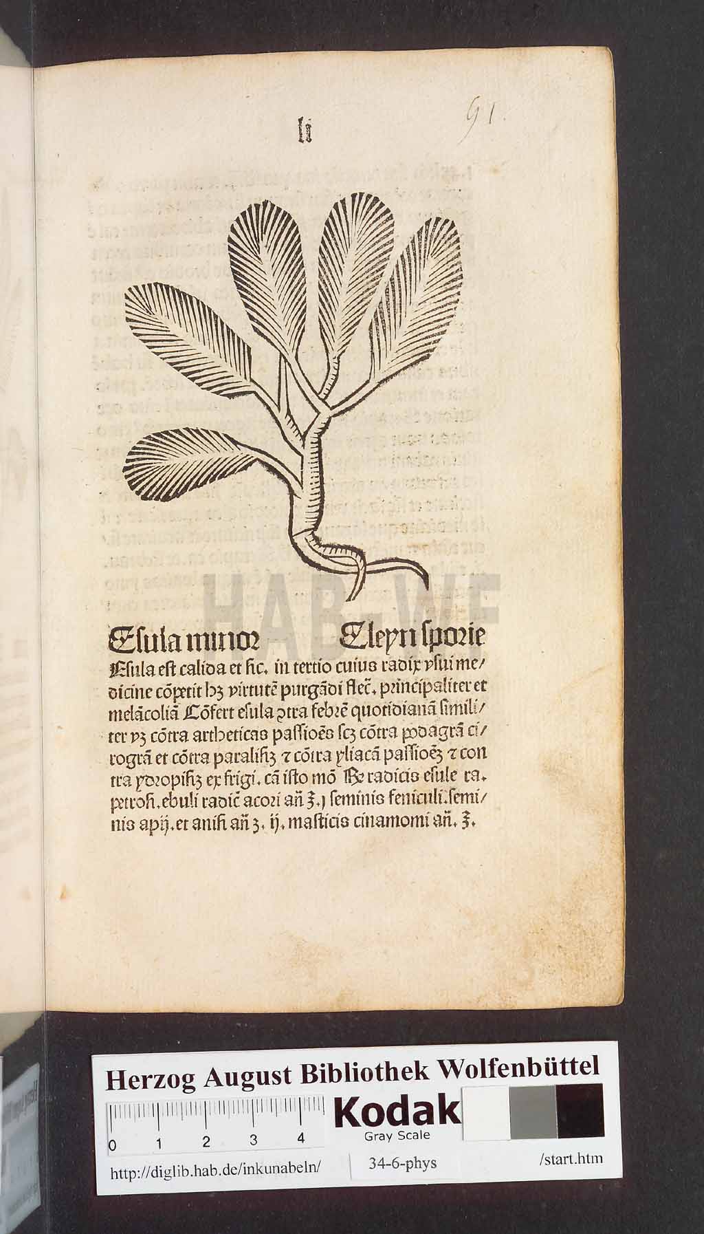http://diglib.hab.de/inkunabeln/34-6-phys/00105.jpg