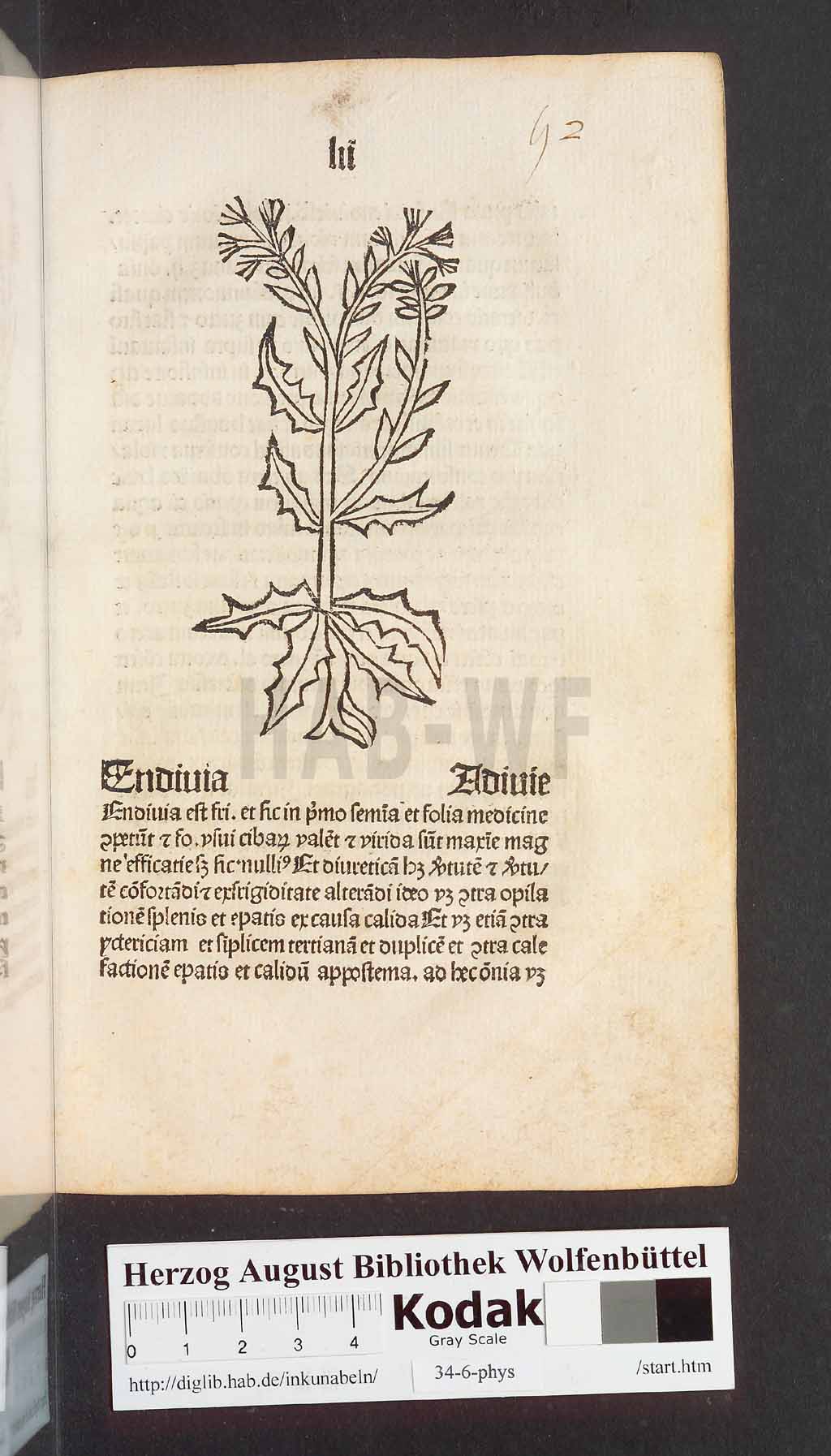 http://diglib.hab.de/inkunabeln/34-6-phys/00107.jpg