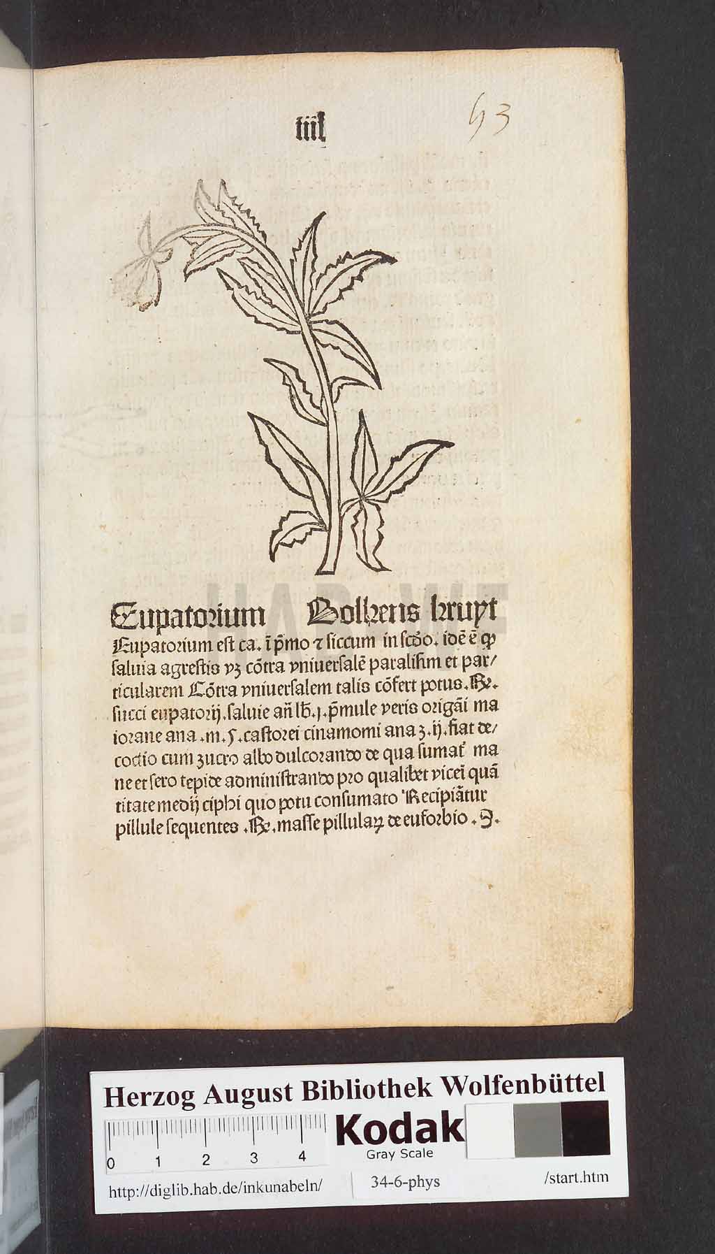 http://diglib.hab.de/inkunabeln/34-6-phys/00109.jpg