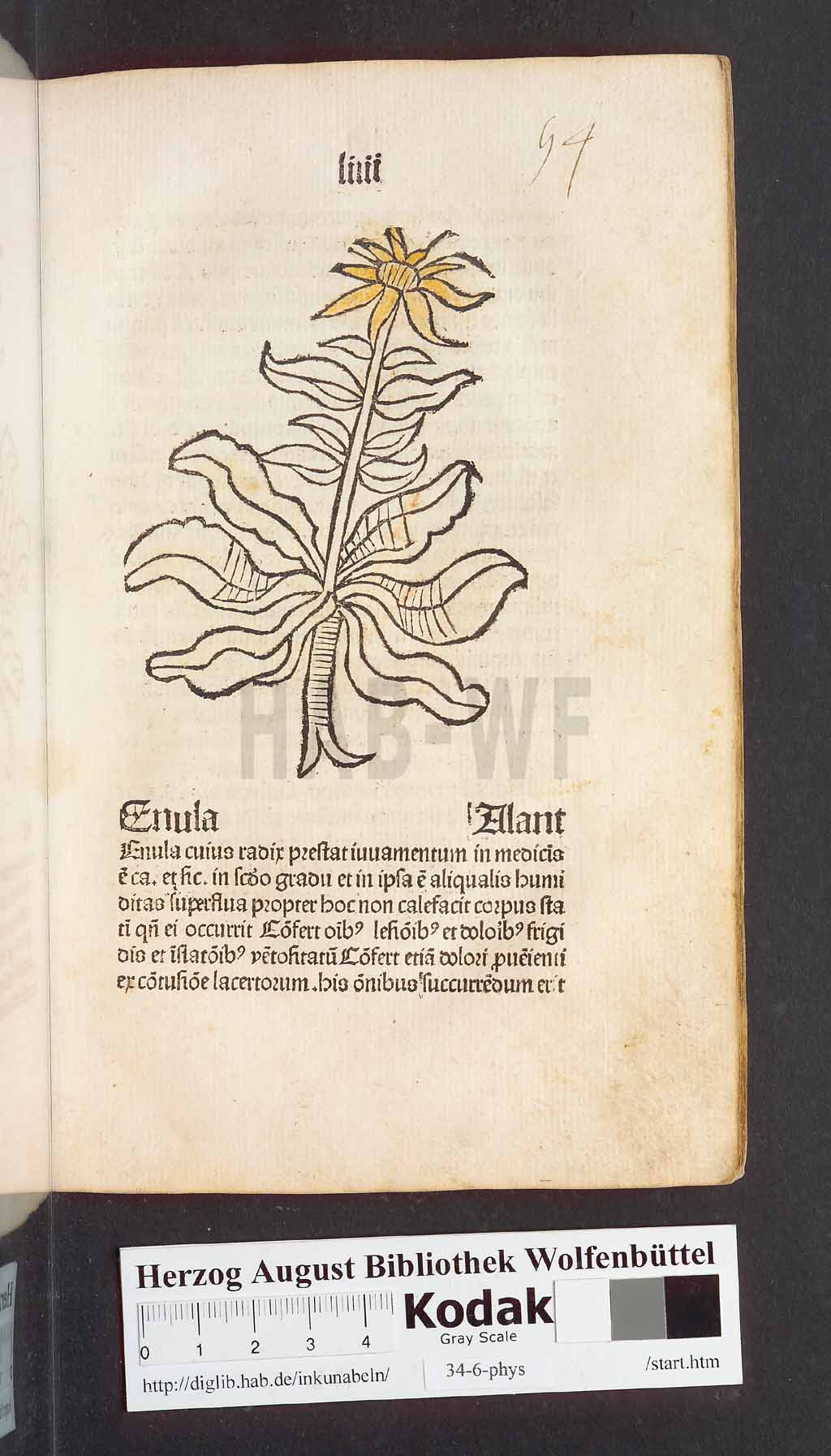 http://diglib.hab.de/inkunabeln/34-6-phys/00111.jpg