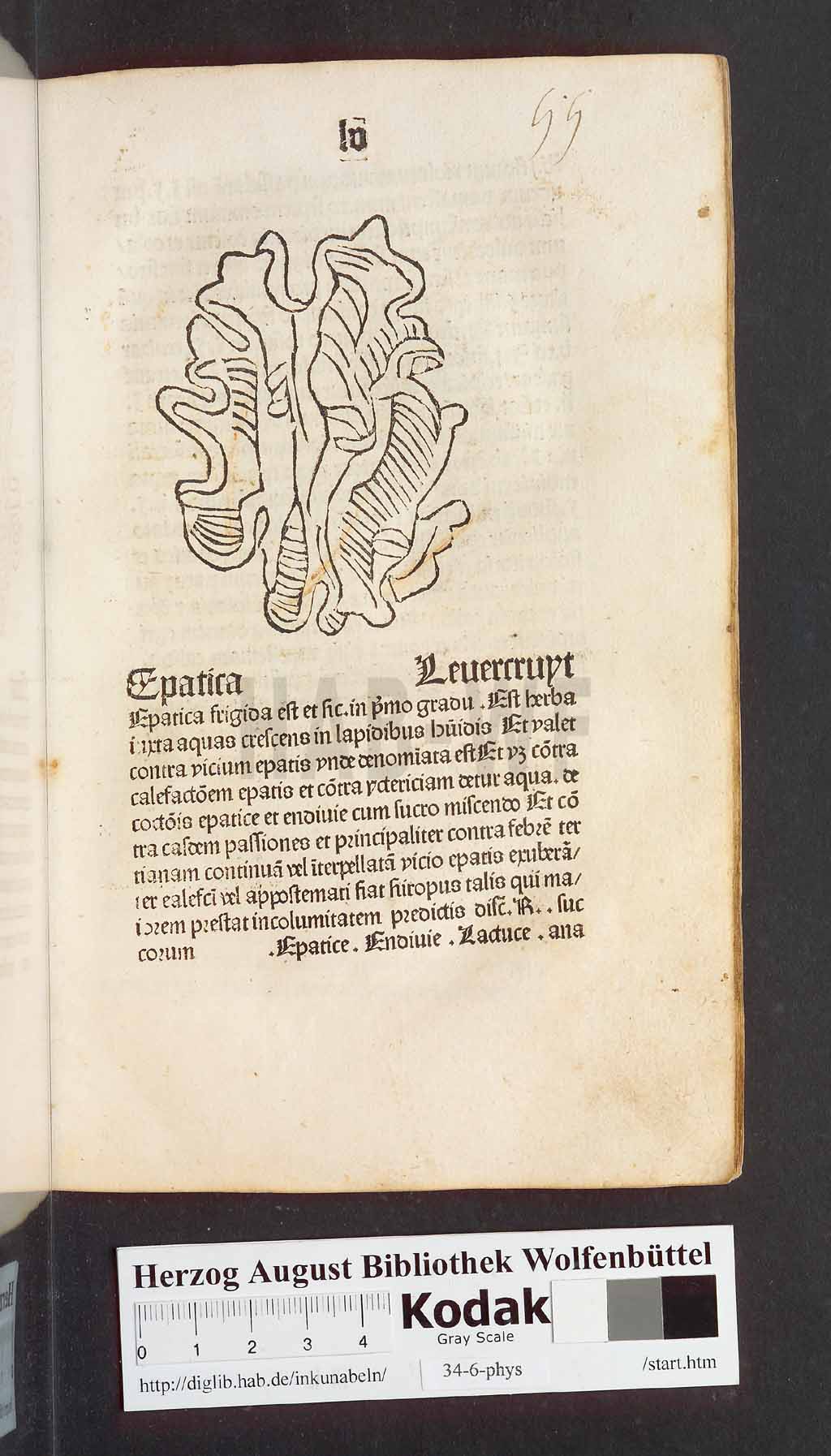 http://diglib.hab.de/inkunabeln/34-6-phys/00113.jpg