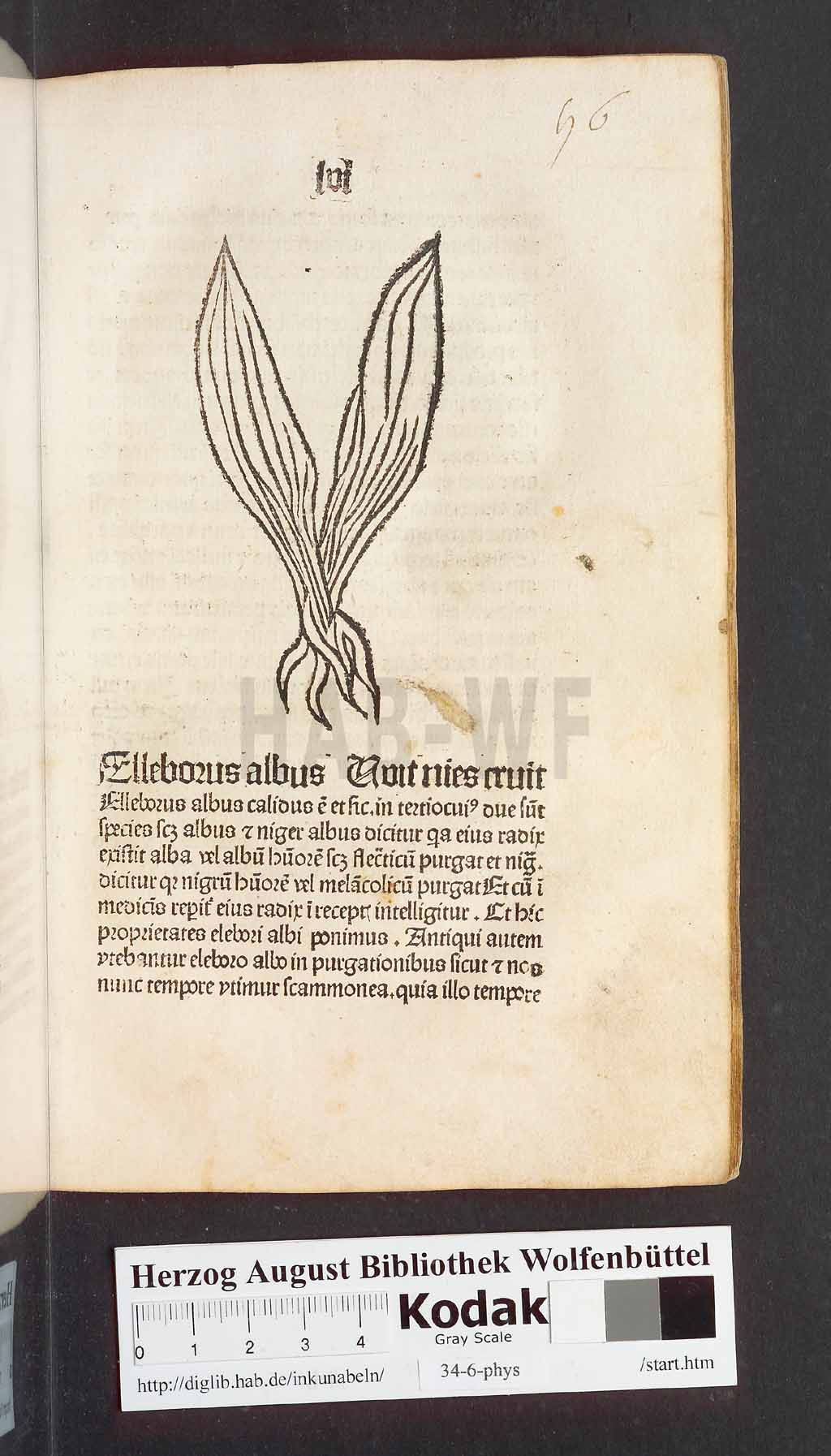 http://diglib.hab.de/inkunabeln/34-6-phys/00115.jpg