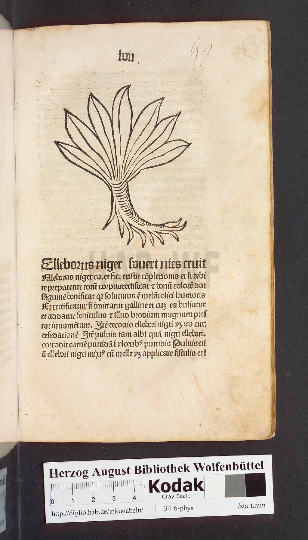 http://diglib.hab.de/inkunabeln/34-6-phys/00117.jpg