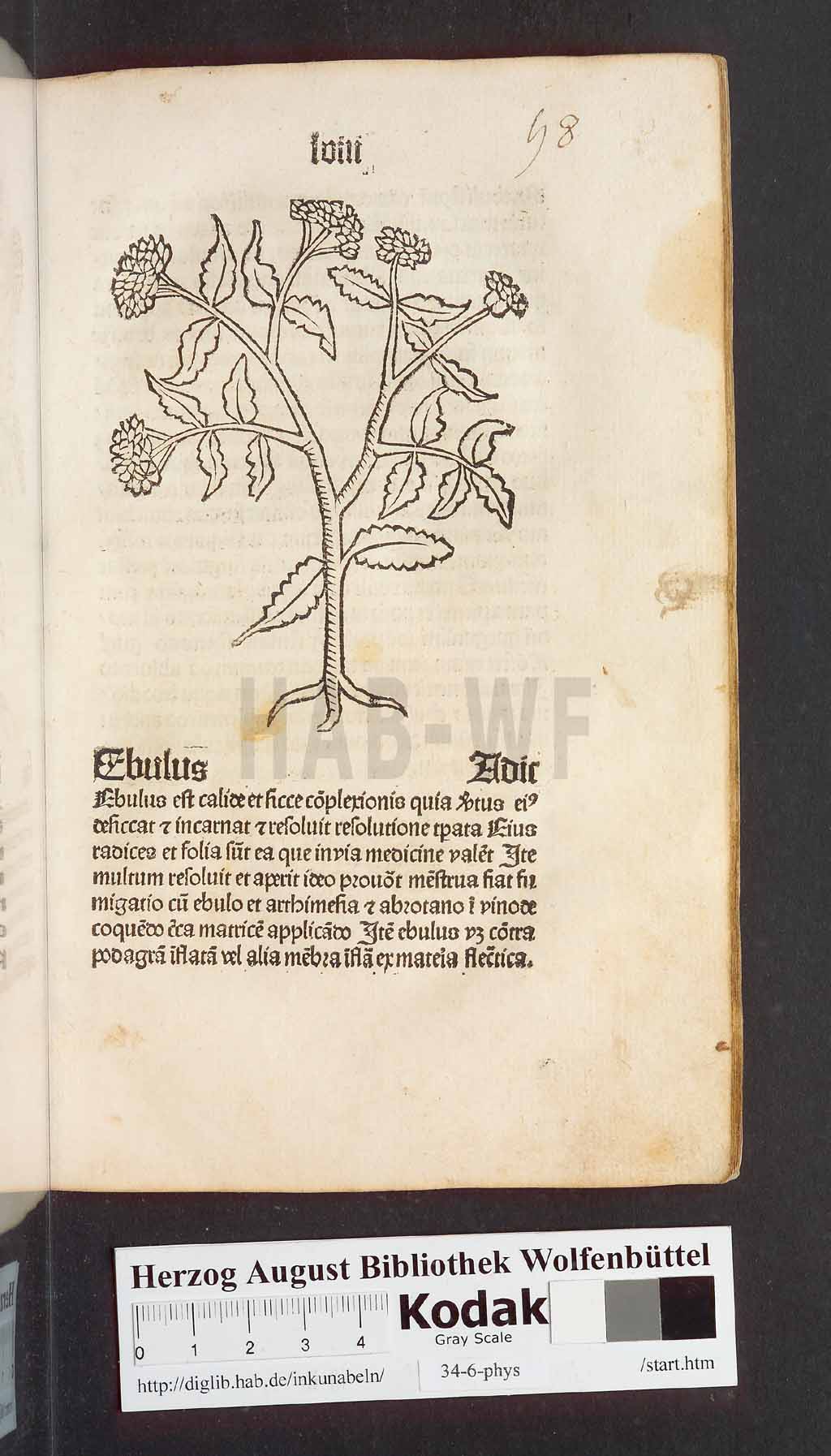 http://diglib.hab.de/inkunabeln/34-6-phys/00119.jpg