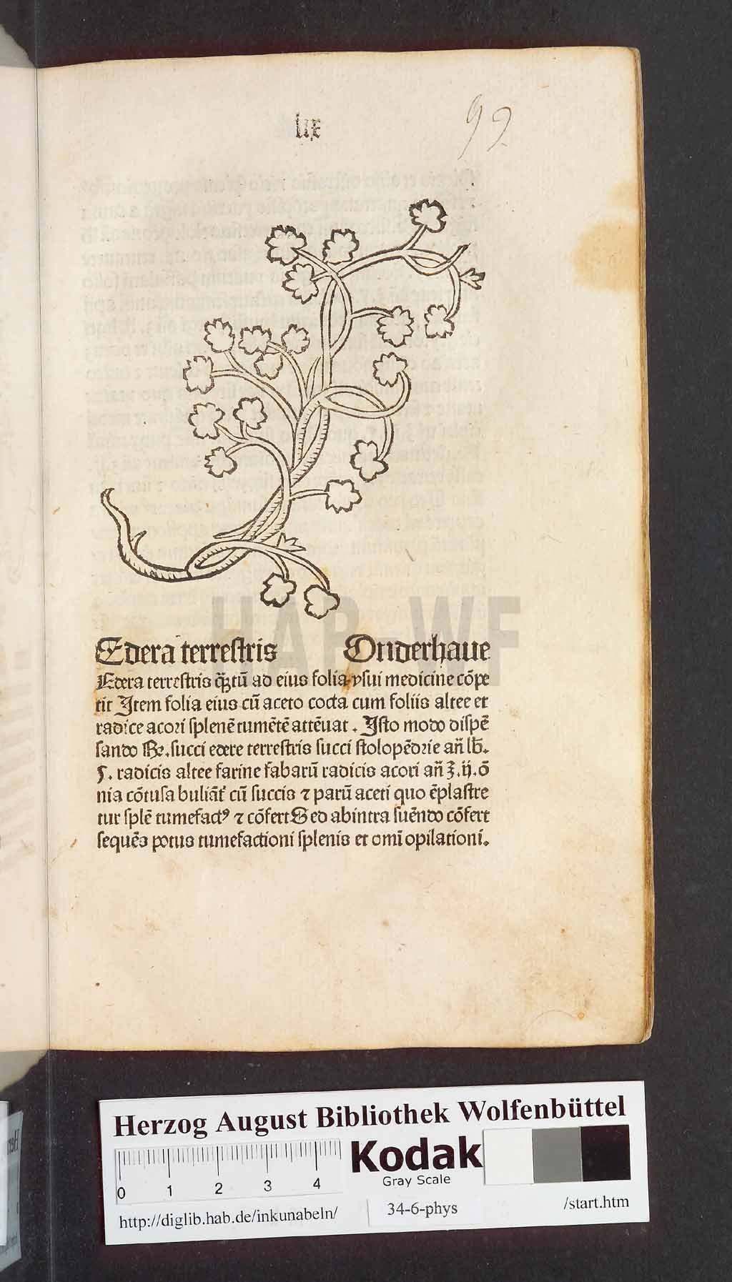 http://diglib.hab.de/inkunabeln/34-6-phys/00121.jpg