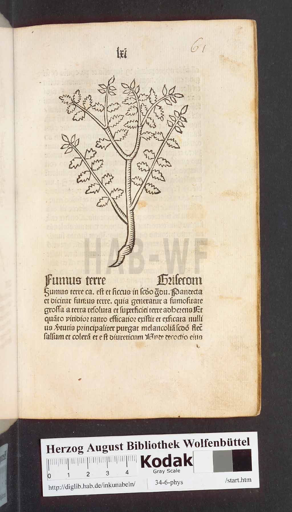 http://diglib.hab.de/inkunabeln/34-6-phys/00125.jpg