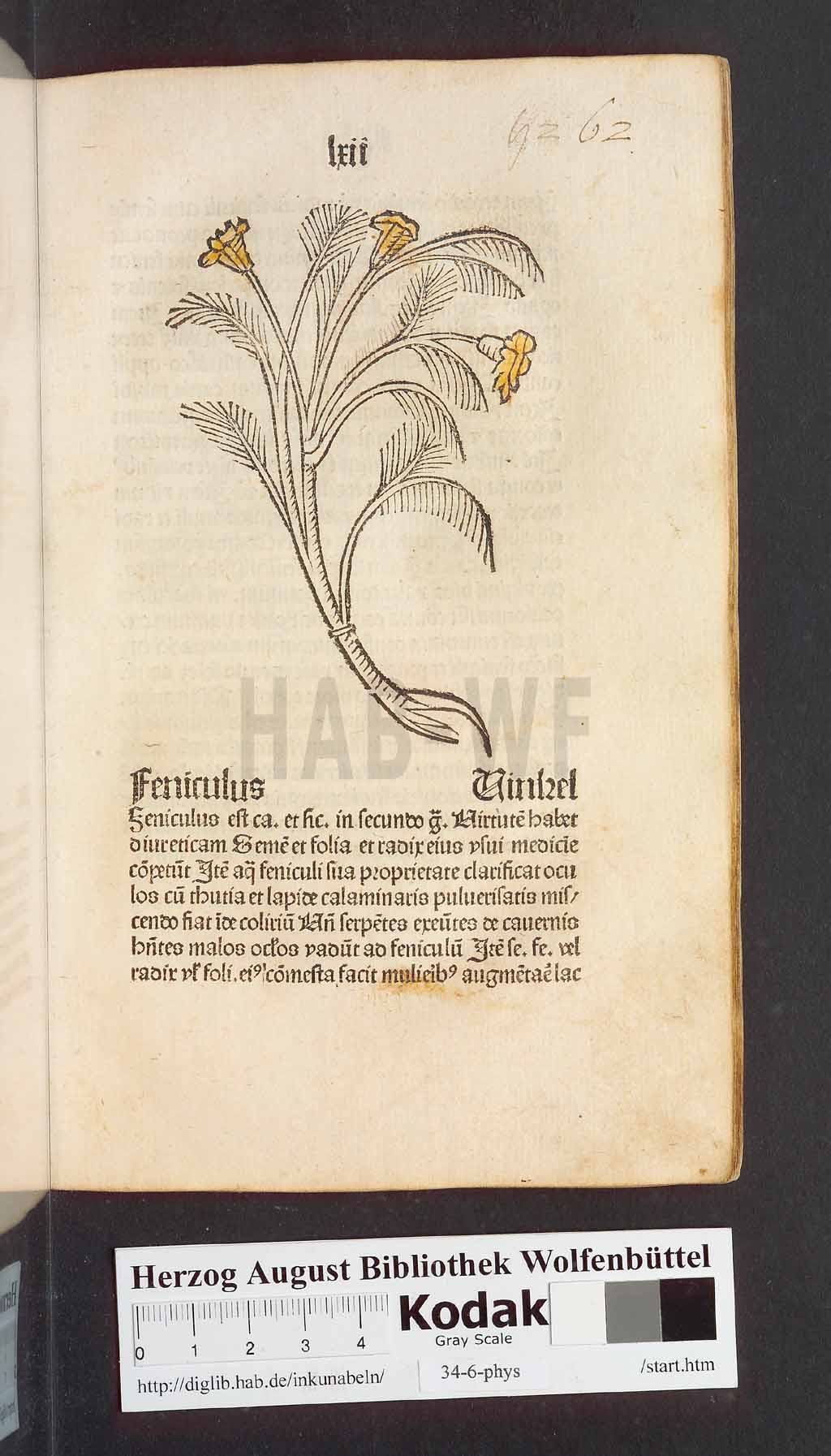 http://diglib.hab.de/inkunabeln/34-6-phys/00127.jpg