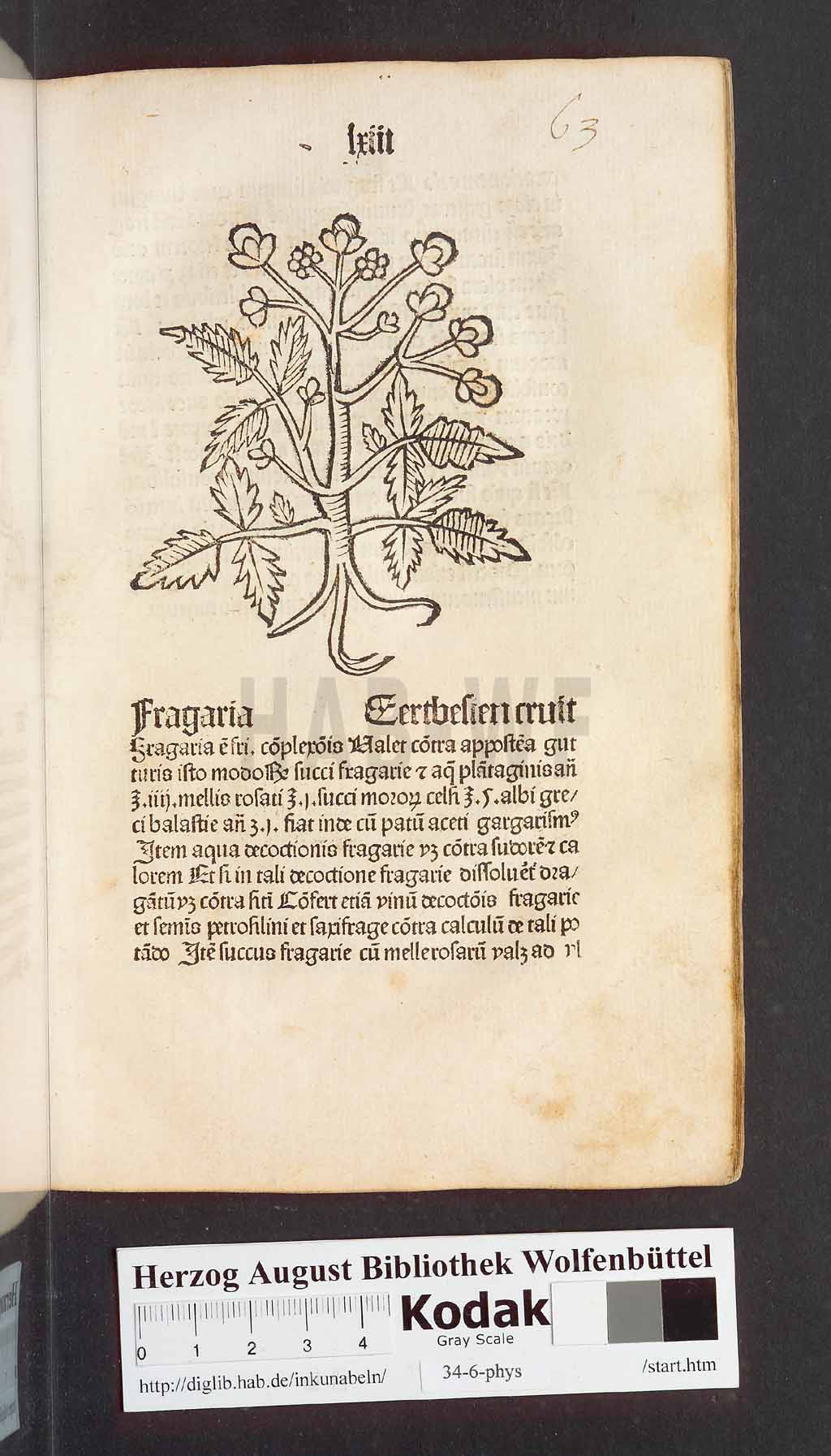http://diglib.hab.de/inkunabeln/34-6-phys/00129.jpg