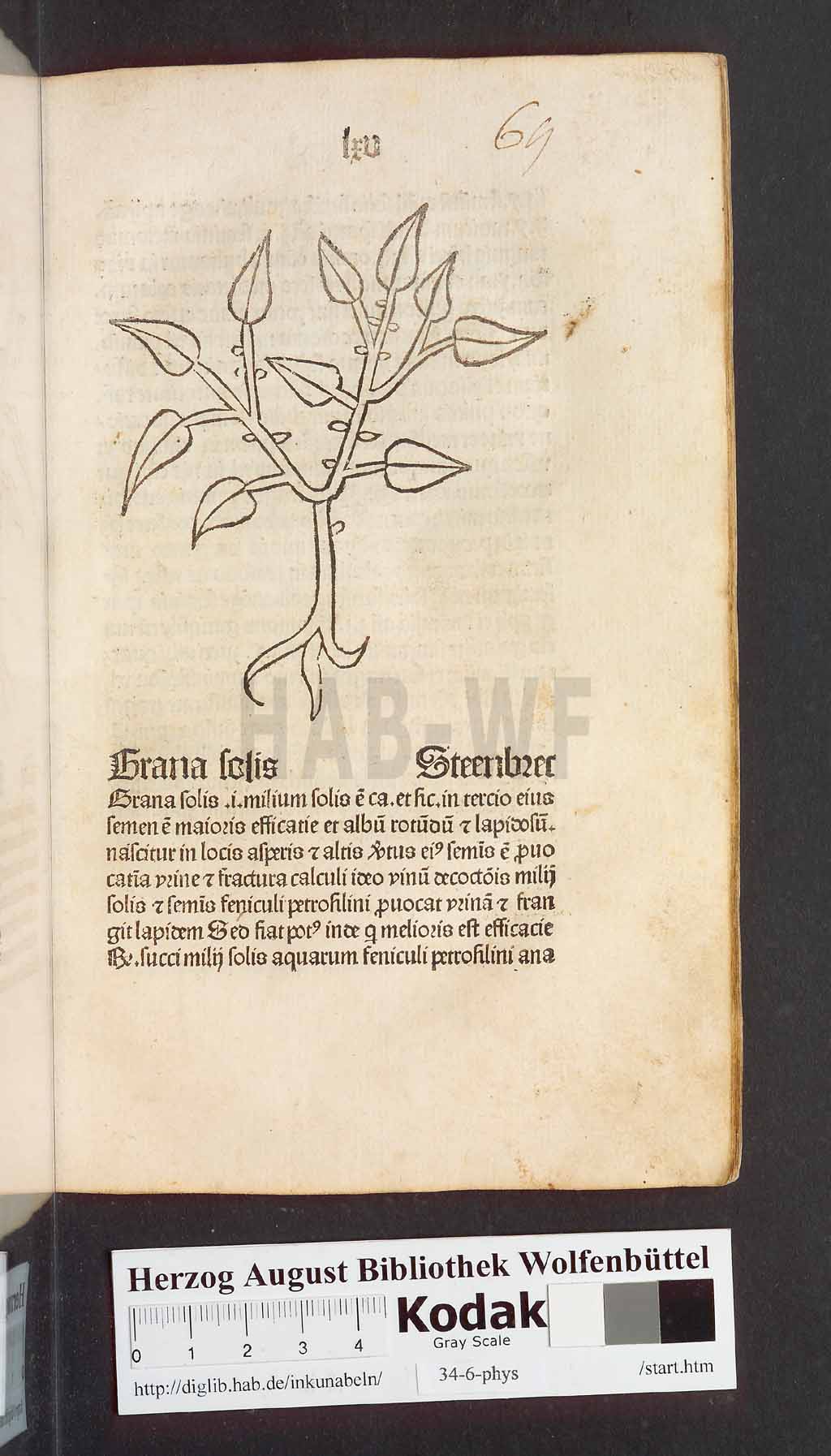 http://diglib.hab.de/inkunabeln/34-6-phys/00133.jpg