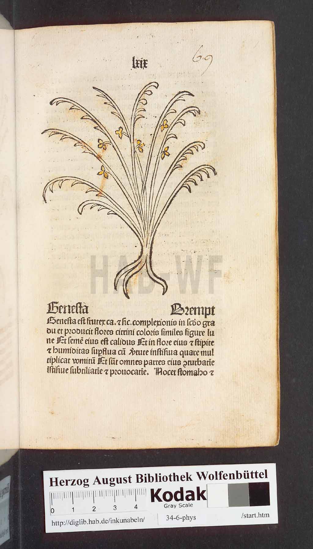 http://diglib.hab.de/inkunabeln/34-6-phys/00141.jpg