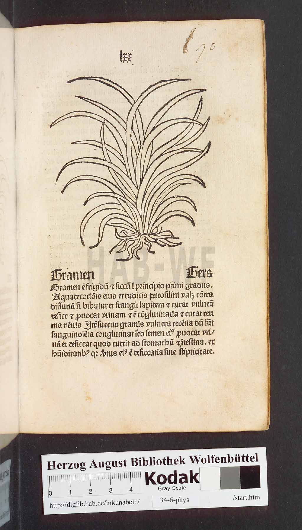 http://diglib.hab.de/inkunabeln/34-6-phys/00143.jpg