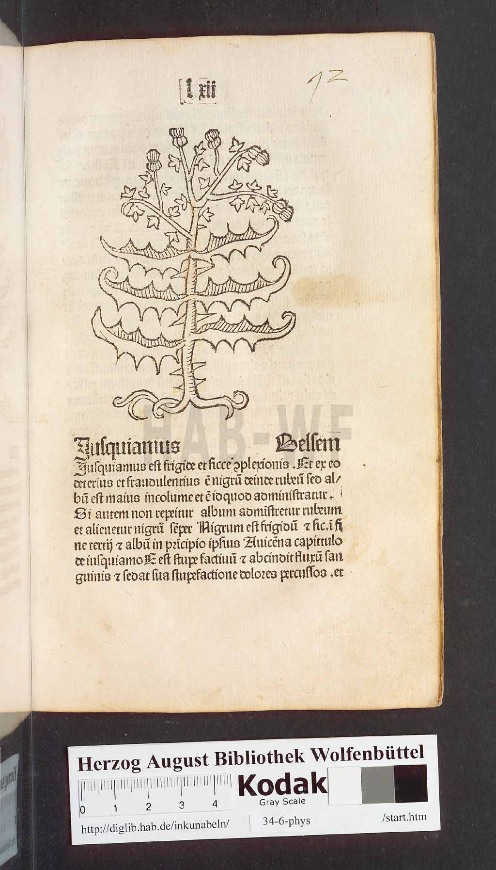 http://diglib.hab.de/inkunabeln/34-6-phys/00147.jpg