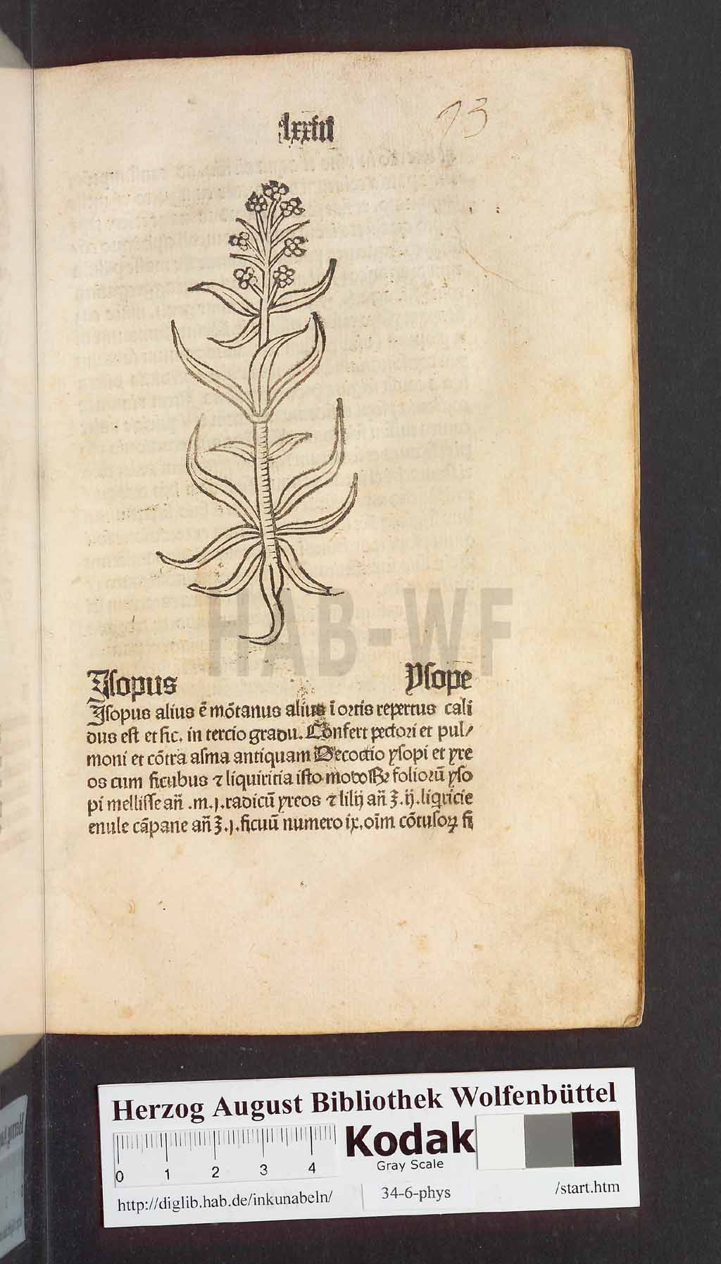 http://diglib.hab.de/inkunabeln/34-6-phys/00149.jpg