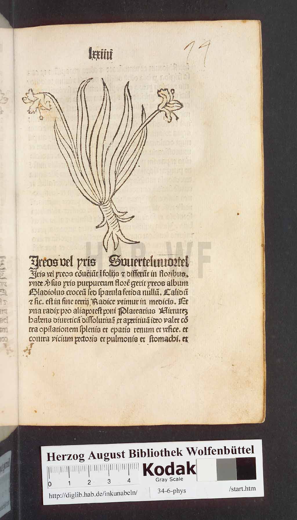 http://diglib.hab.de/inkunabeln/34-6-phys/00151.jpg