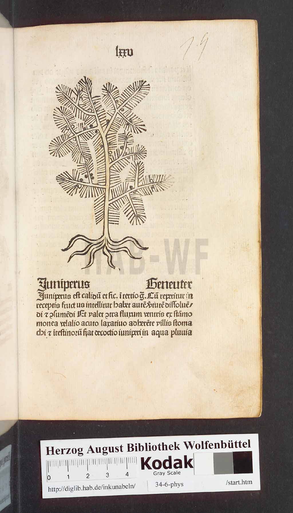 http://diglib.hab.de/inkunabeln/34-6-phys/00153.jpg