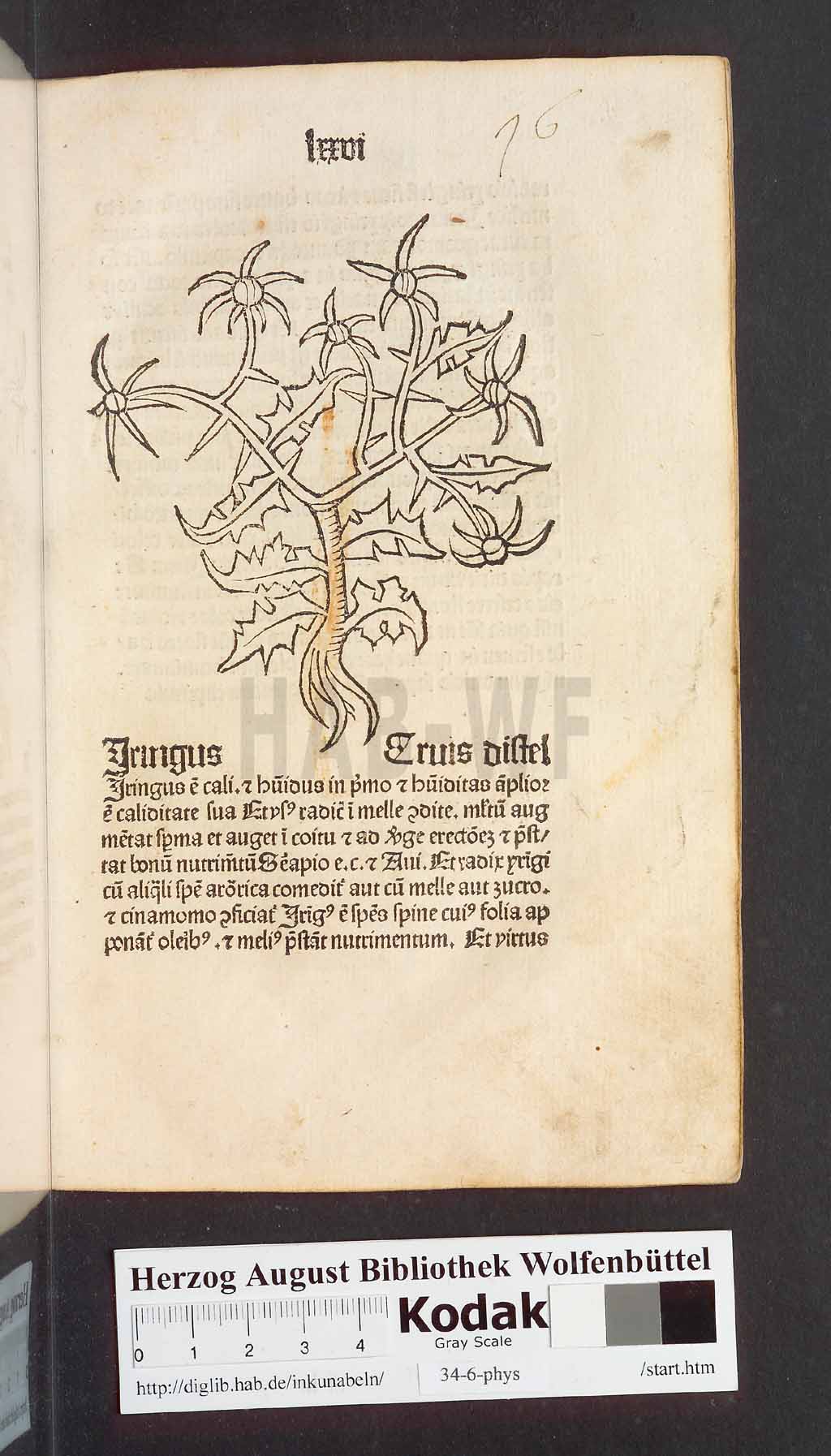 http://diglib.hab.de/inkunabeln/34-6-phys/00155.jpg