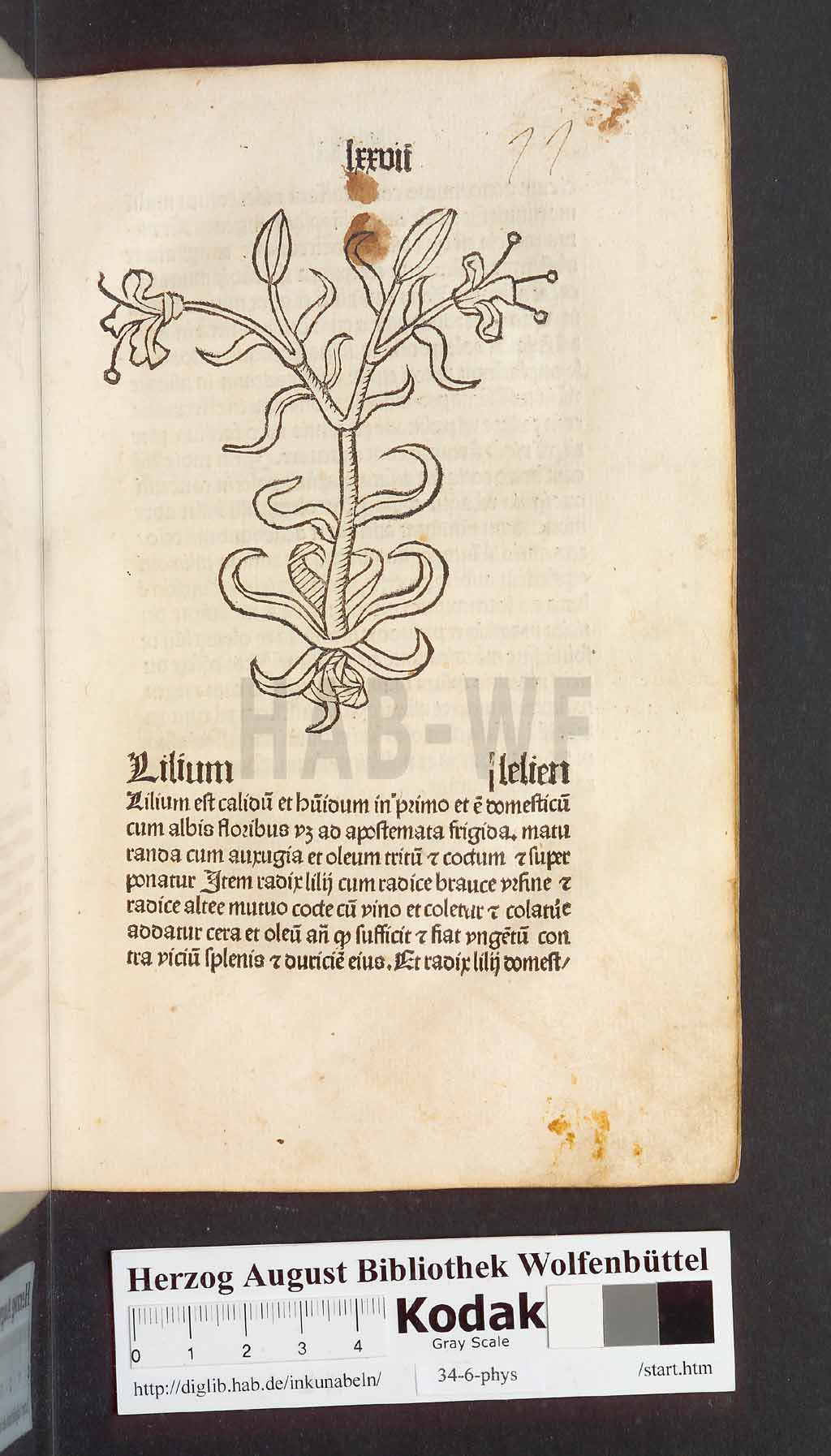 http://diglib.hab.de/inkunabeln/34-6-phys/00157.jpg