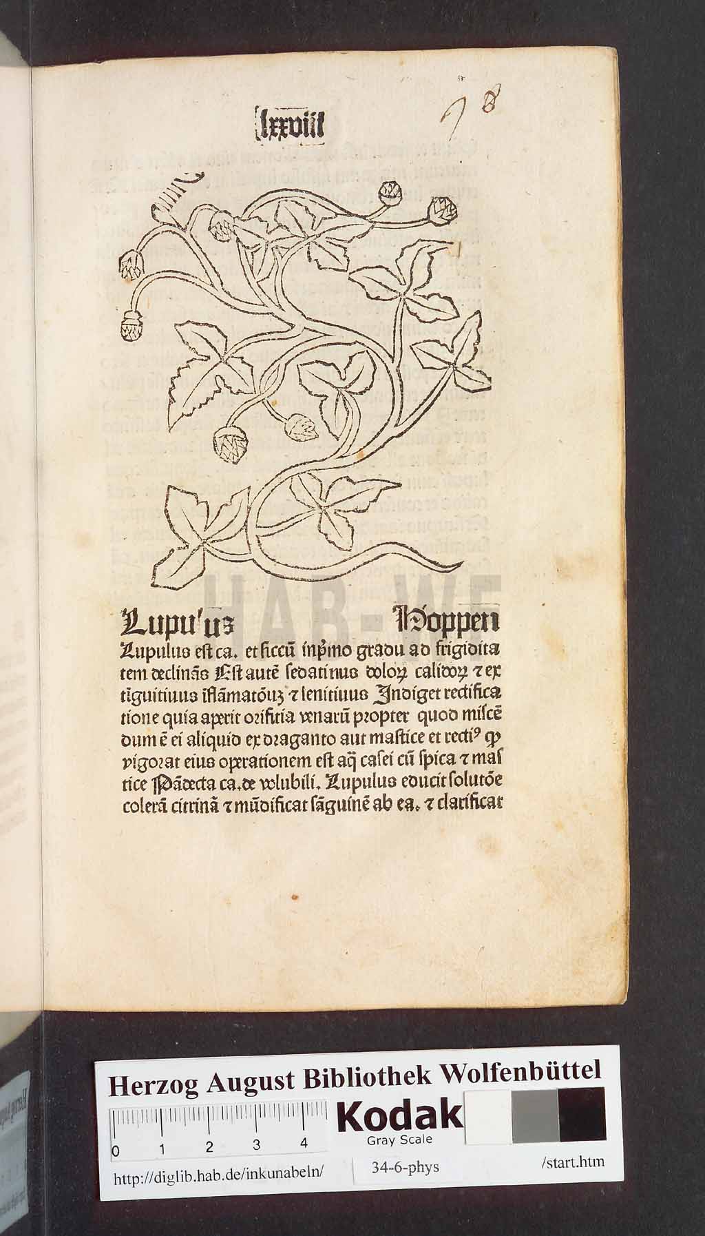 http://diglib.hab.de/inkunabeln/34-6-phys/00159.jpg