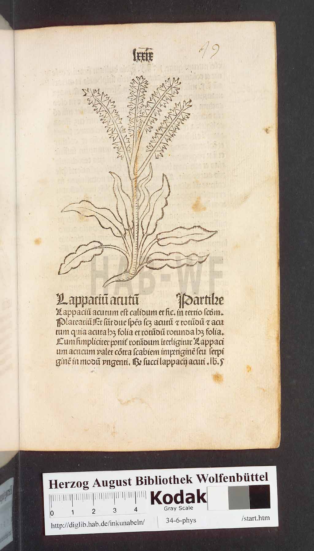 http://diglib.hab.de/inkunabeln/34-6-phys/00161.jpg