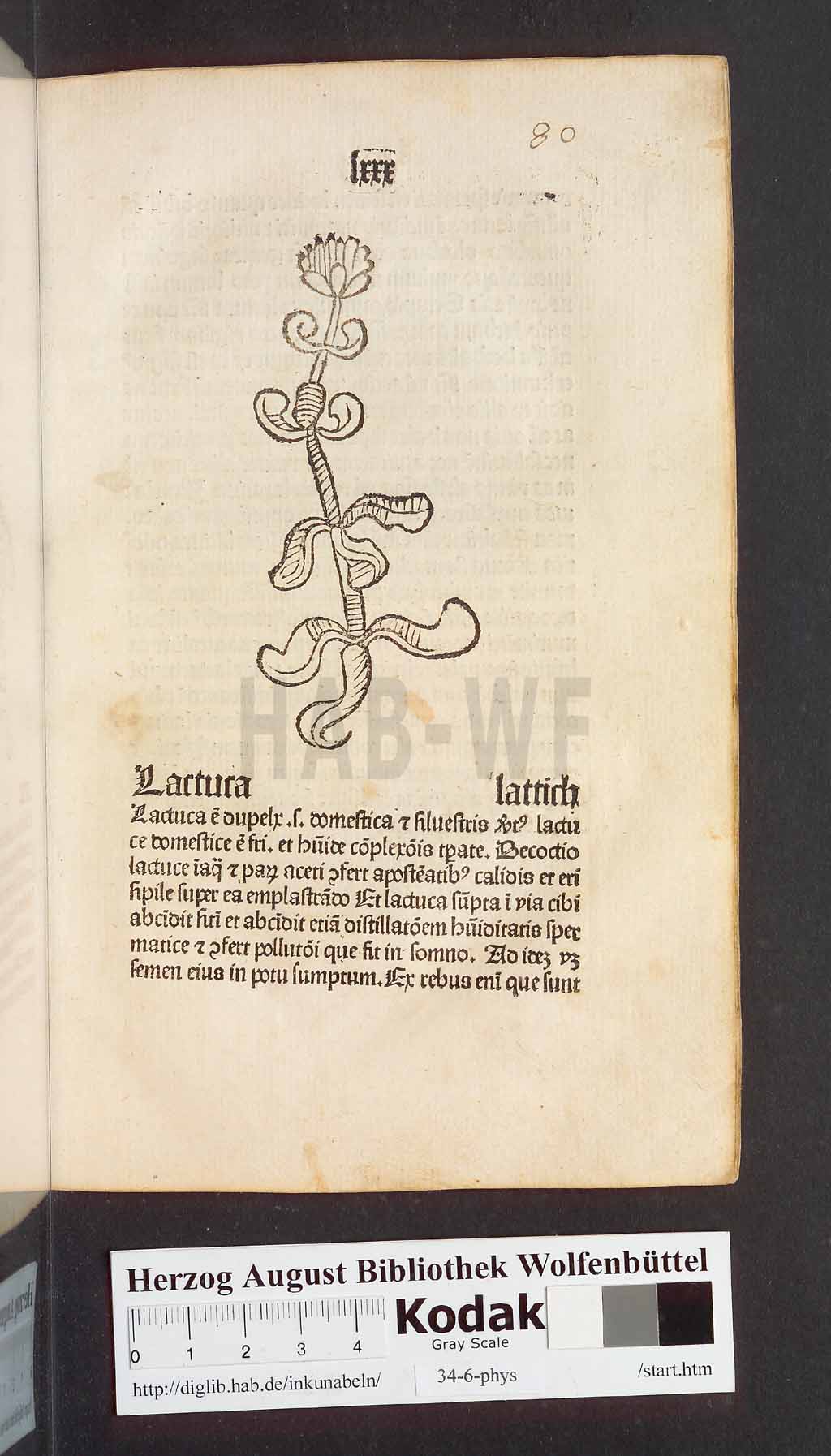 http://diglib.hab.de/inkunabeln/34-6-phys/00163.jpg