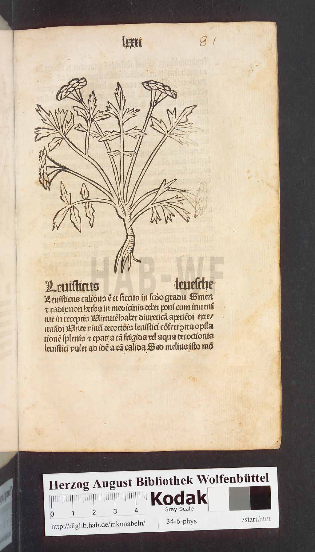 http://diglib.hab.de/inkunabeln/34-6-phys/00165.jpg