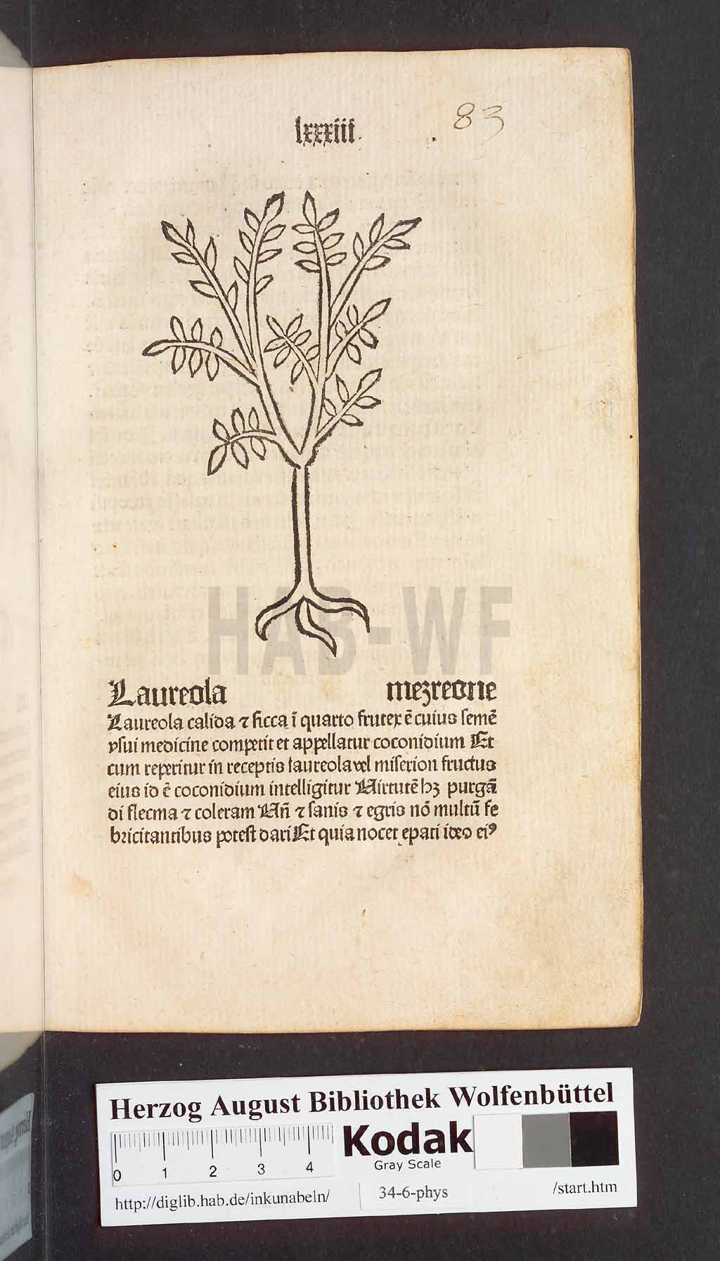 http://diglib.hab.de/inkunabeln/34-6-phys/00169.jpg