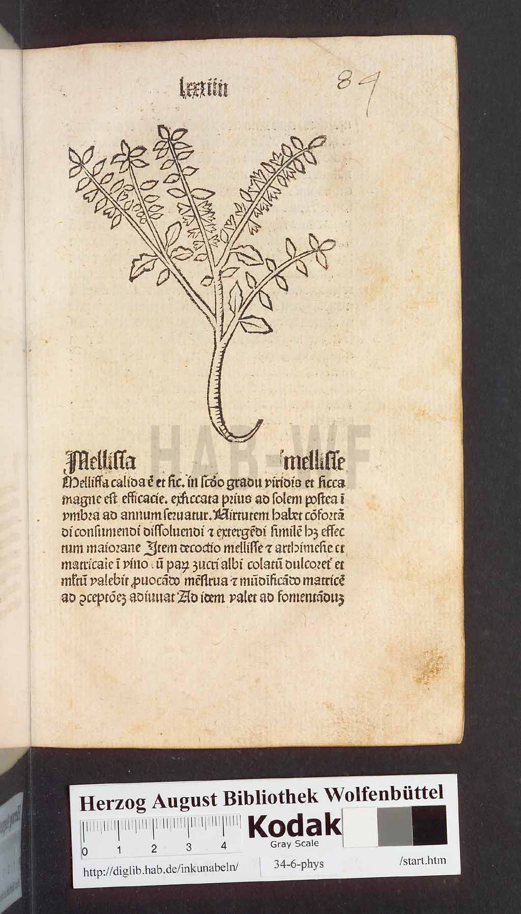 http://diglib.hab.de/inkunabeln/34-6-phys/00171.jpg