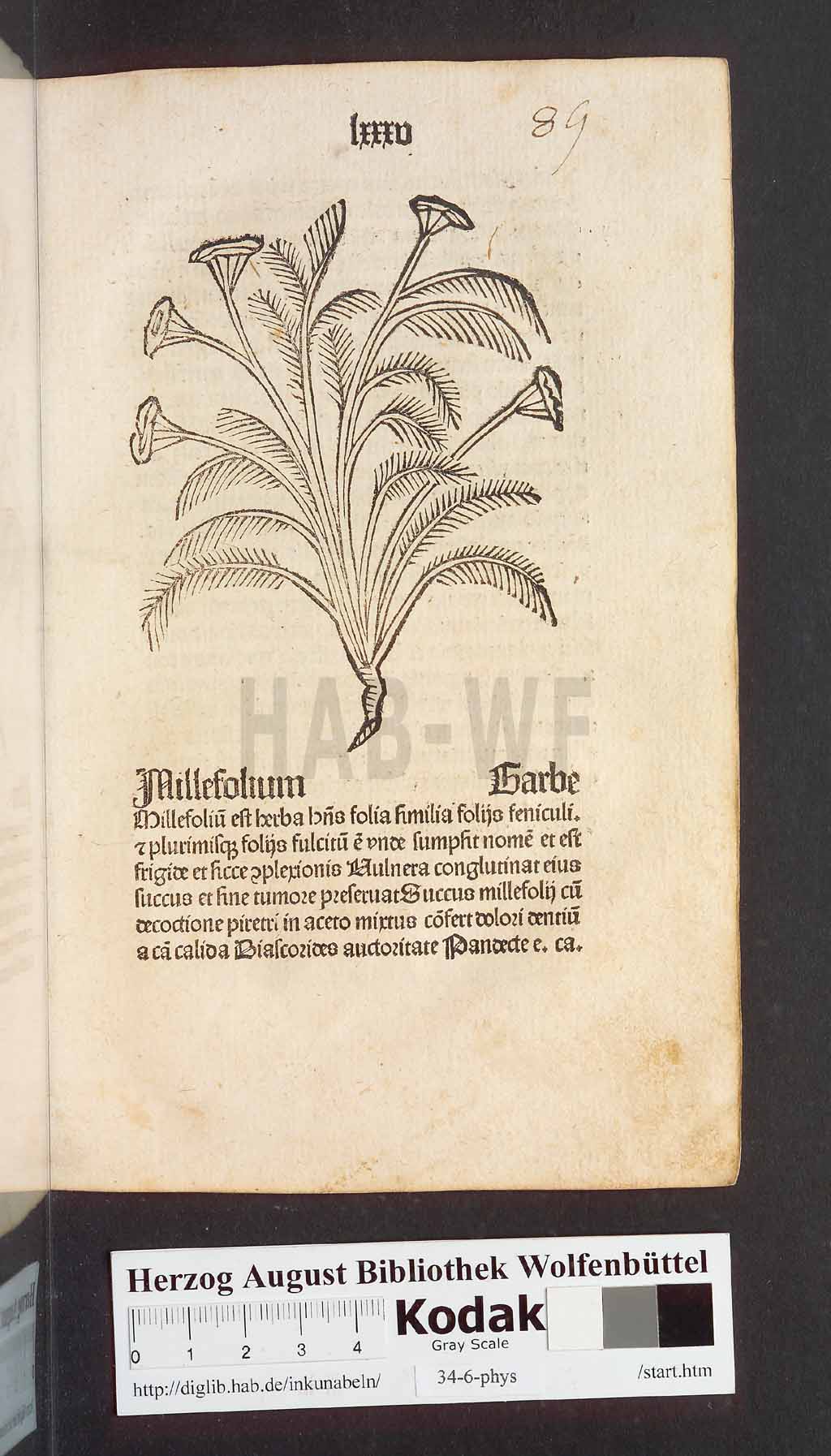 http://diglib.hab.de/inkunabeln/34-6-phys/00173.jpg