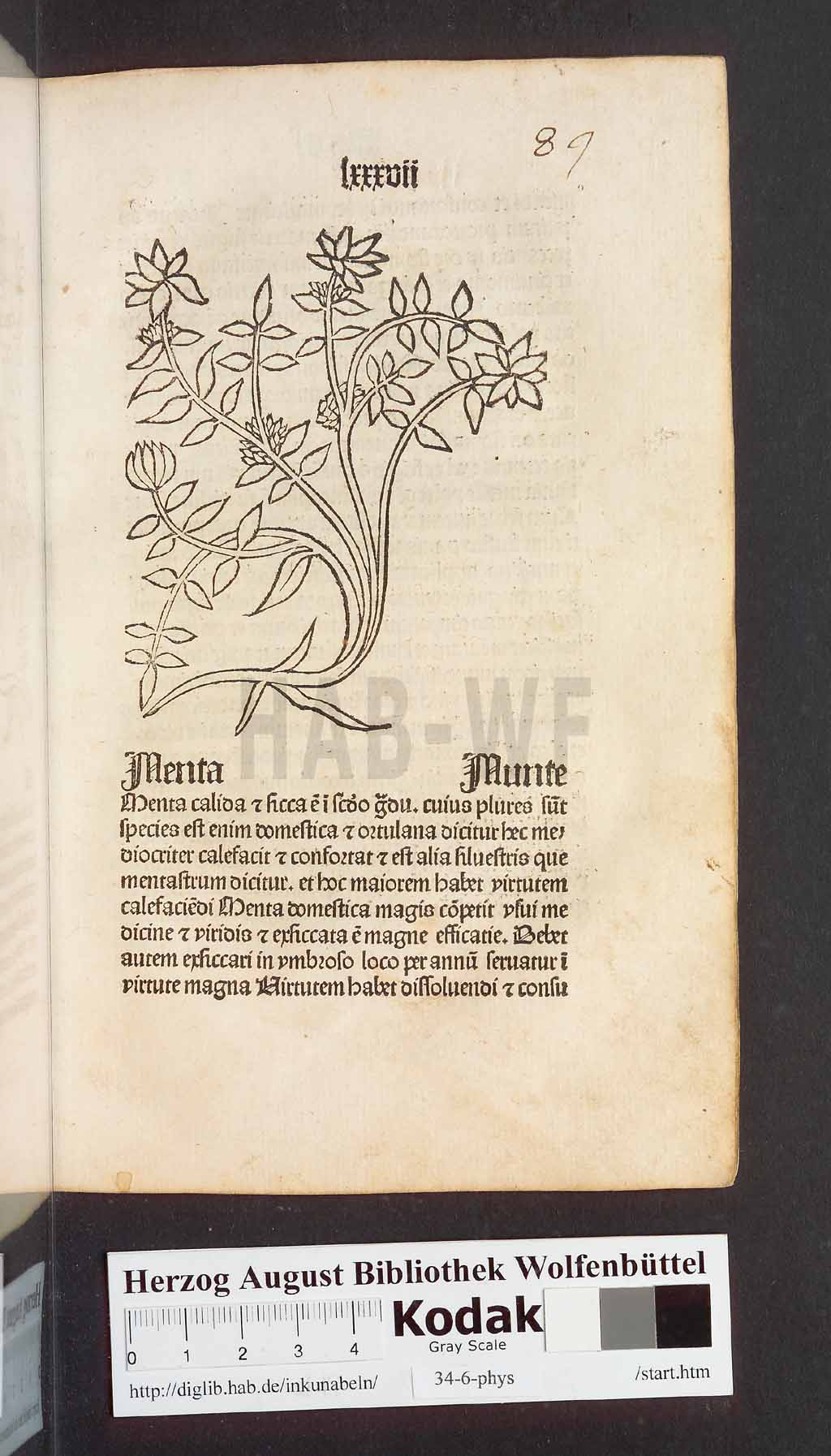 http://diglib.hab.de/inkunabeln/34-6-phys/00177.jpg