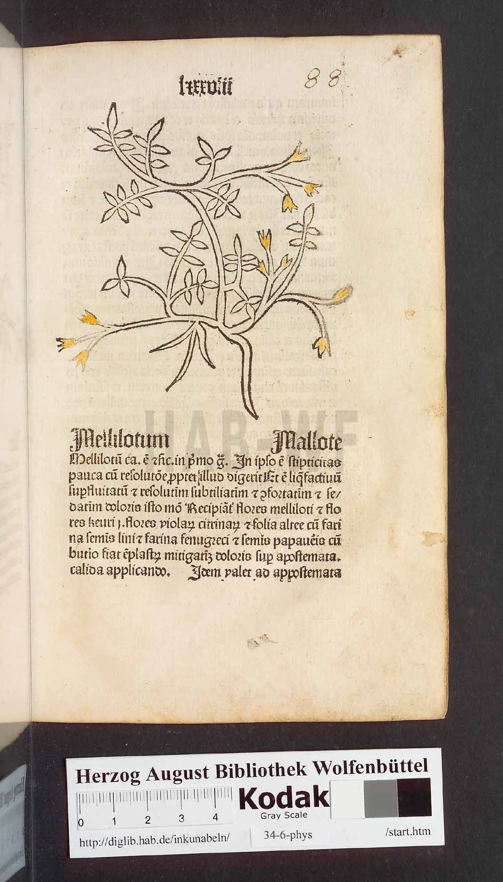 http://diglib.hab.de/inkunabeln/34-6-phys/00179.jpg