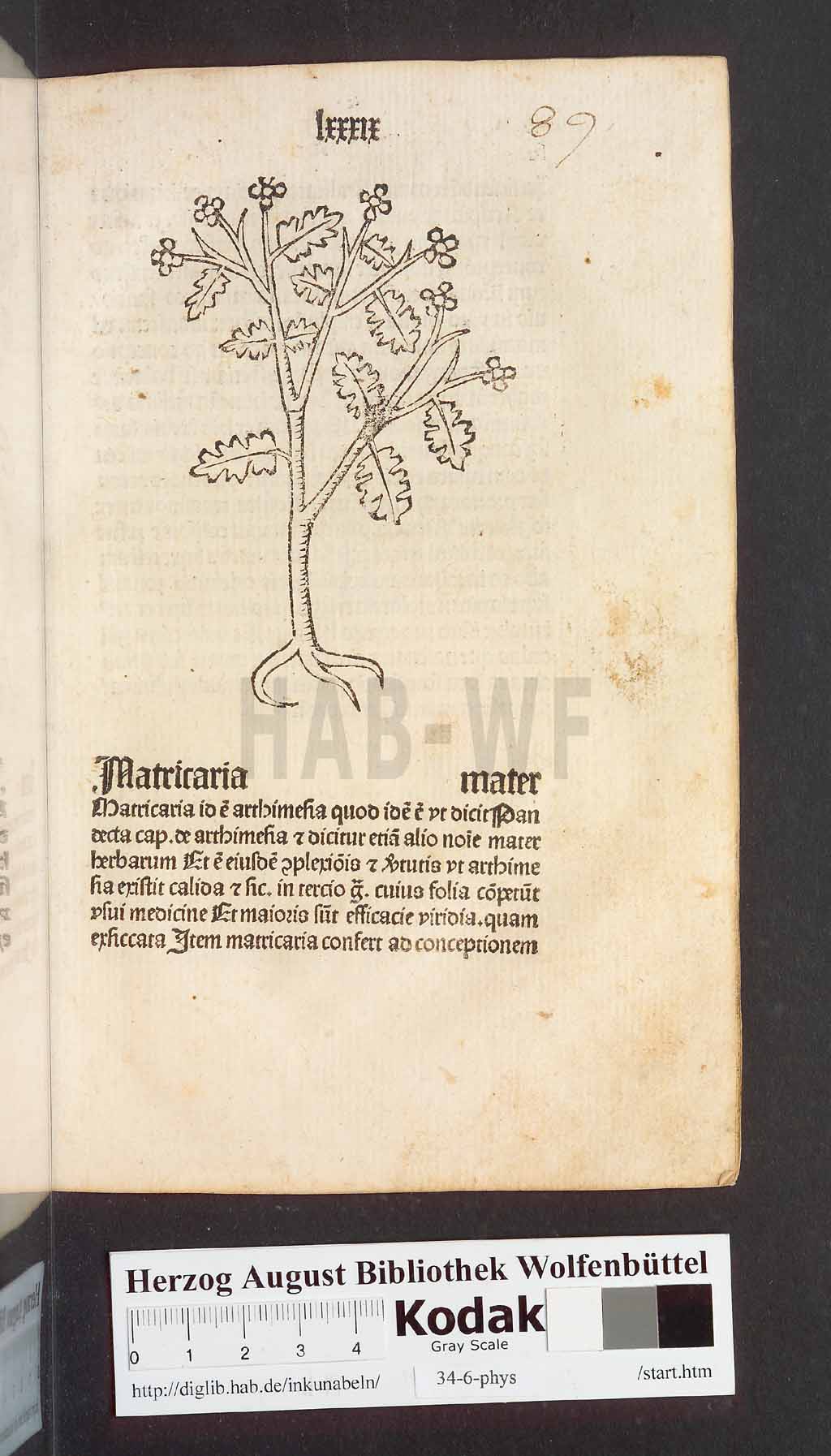 http://diglib.hab.de/inkunabeln/34-6-phys/00181.jpg