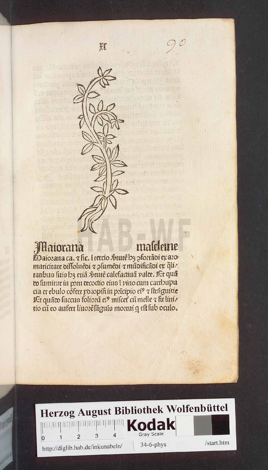 http://diglib.hab.de/inkunabeln/34-6-phys/00183.jpg