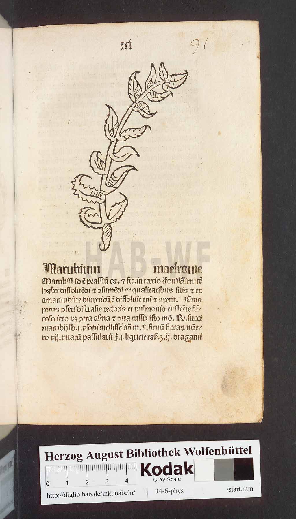 http://diglib.hab.de/inkunabeln/34-6-phys/00185.jpg