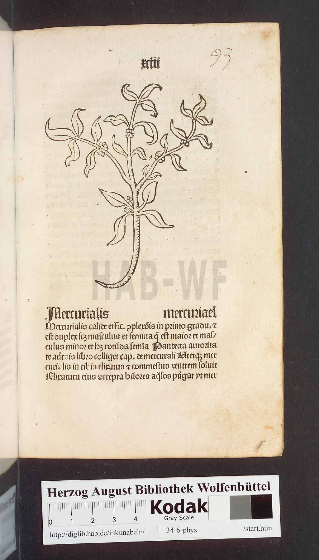 http://diglib.hab.de/inkunabeln/34-6-phys/00189.jpg