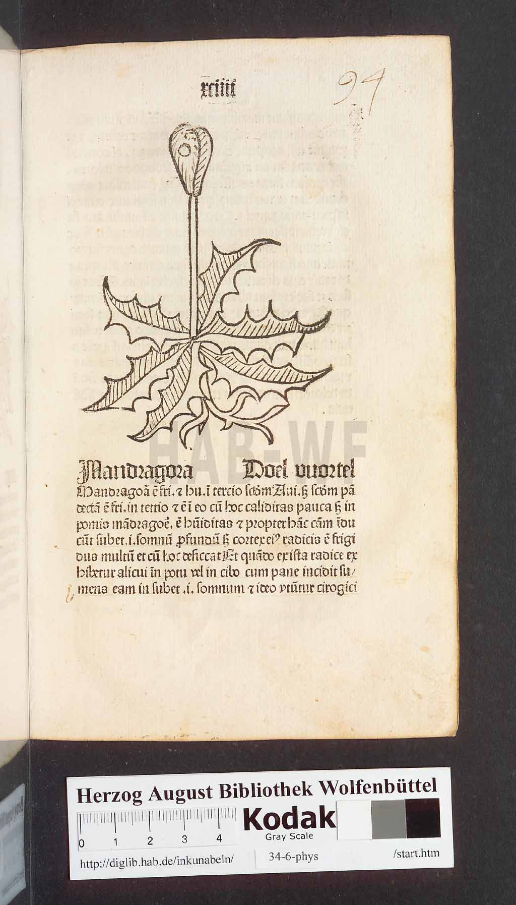 http://diglib.hab.de/inkunabeln/34-6-phys/00191.jpg
