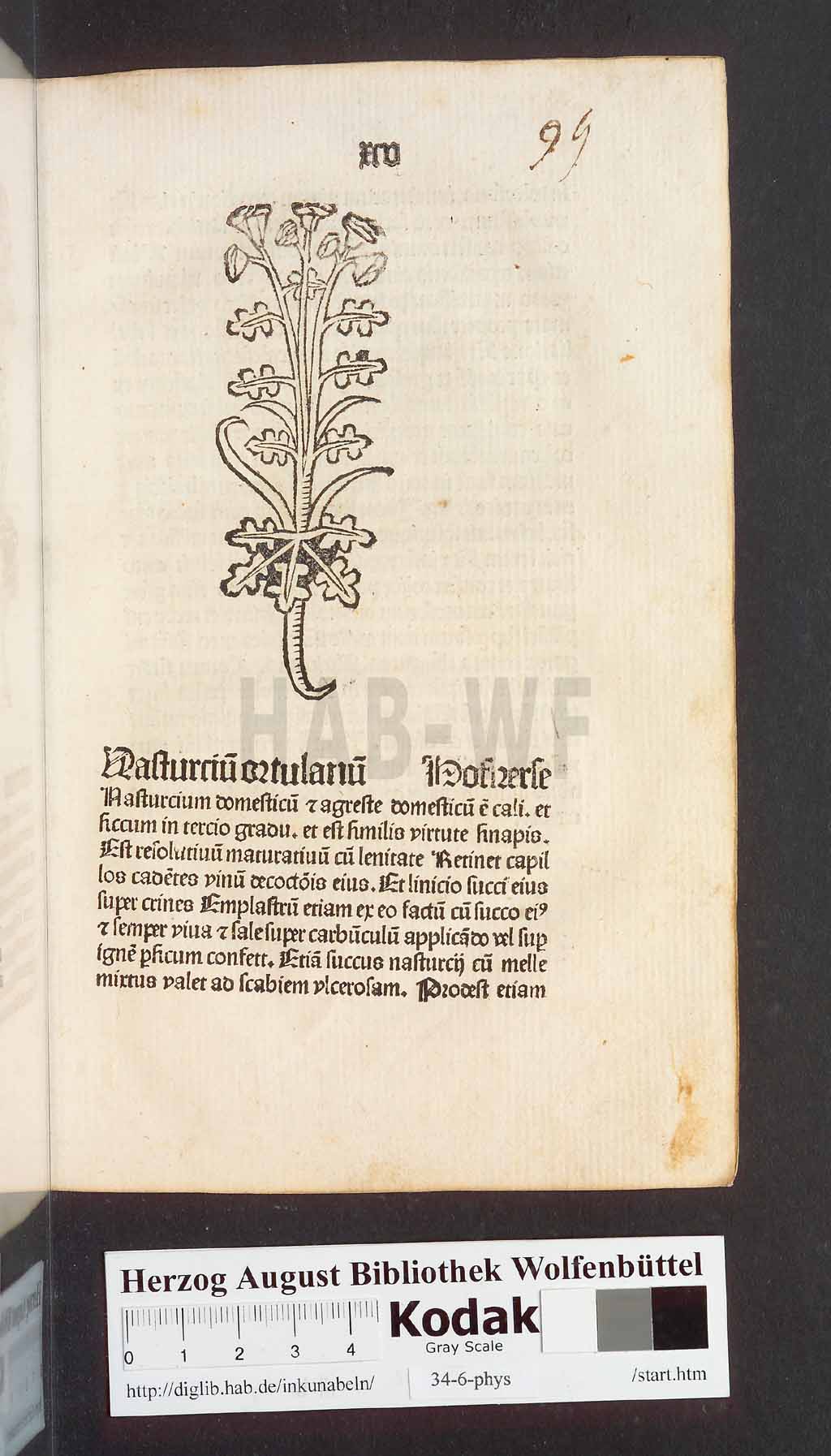 http://diglib.hab.de/inkunabeln/34-6-phys/00193.jpg