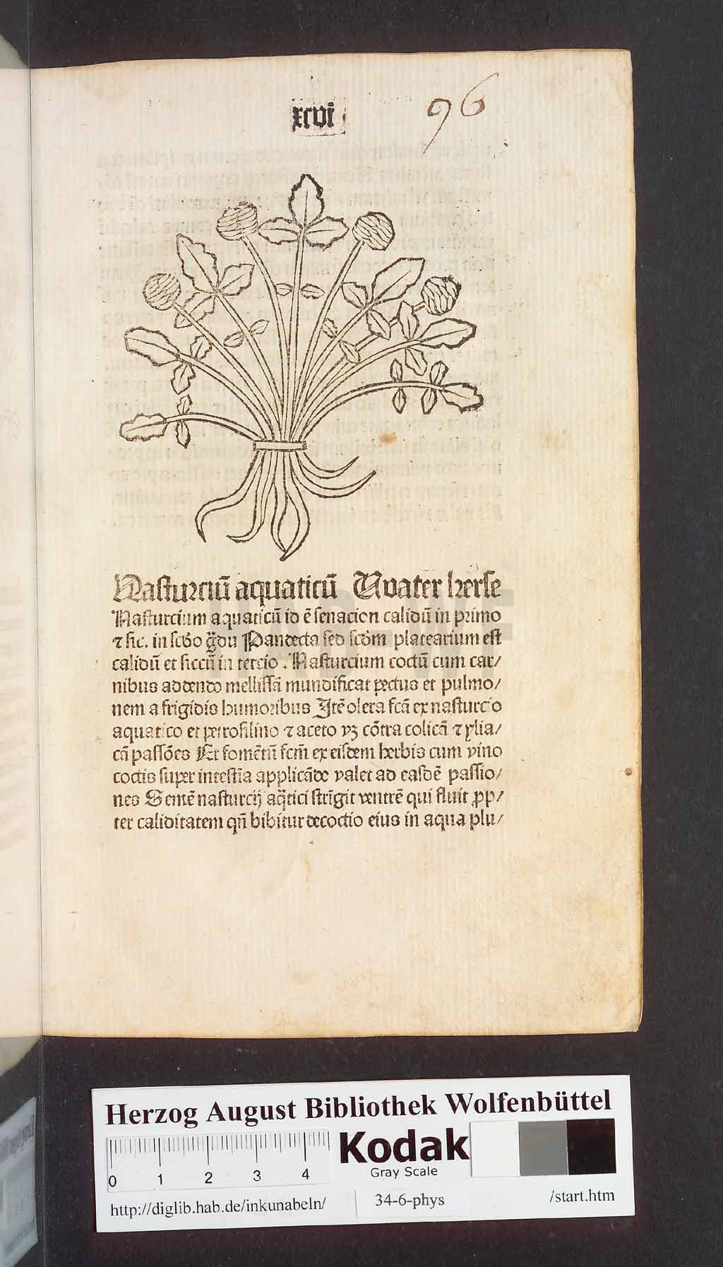 http://diglib.hab.de/inkunabeln/34-6-phys/00195.jpg