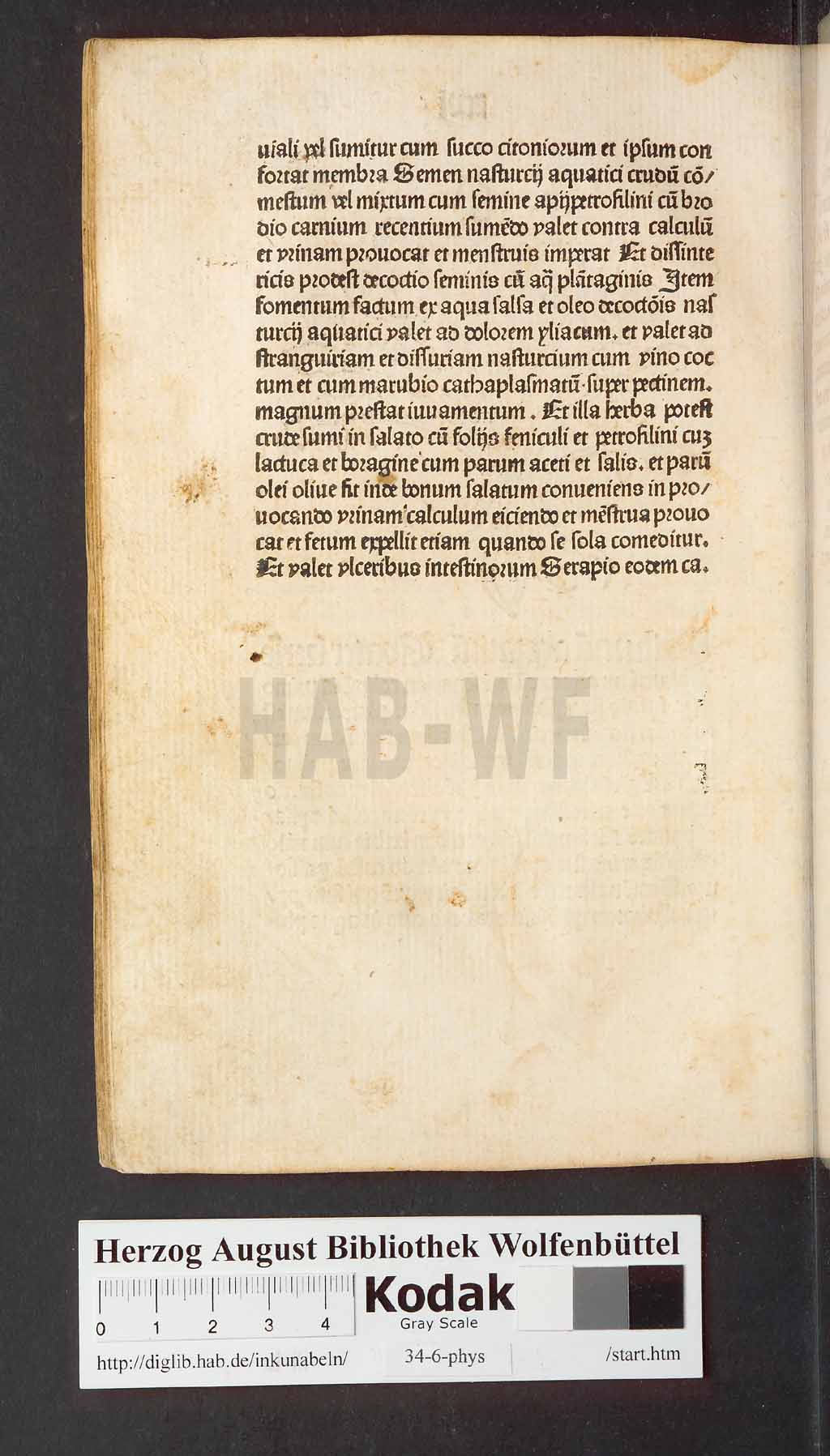 http://diglib.hab.de/inkunabeln/34-6-phys/00196.jpg