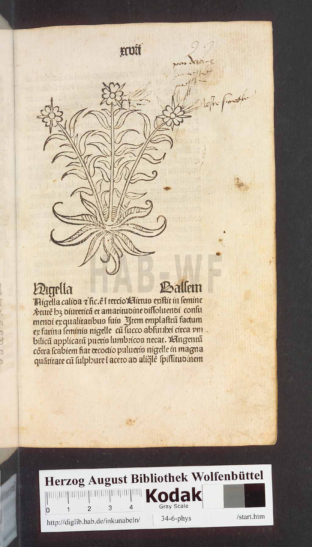 http://diglib.hab.de/inkunabeln/34-6-phys/00197.jpg
