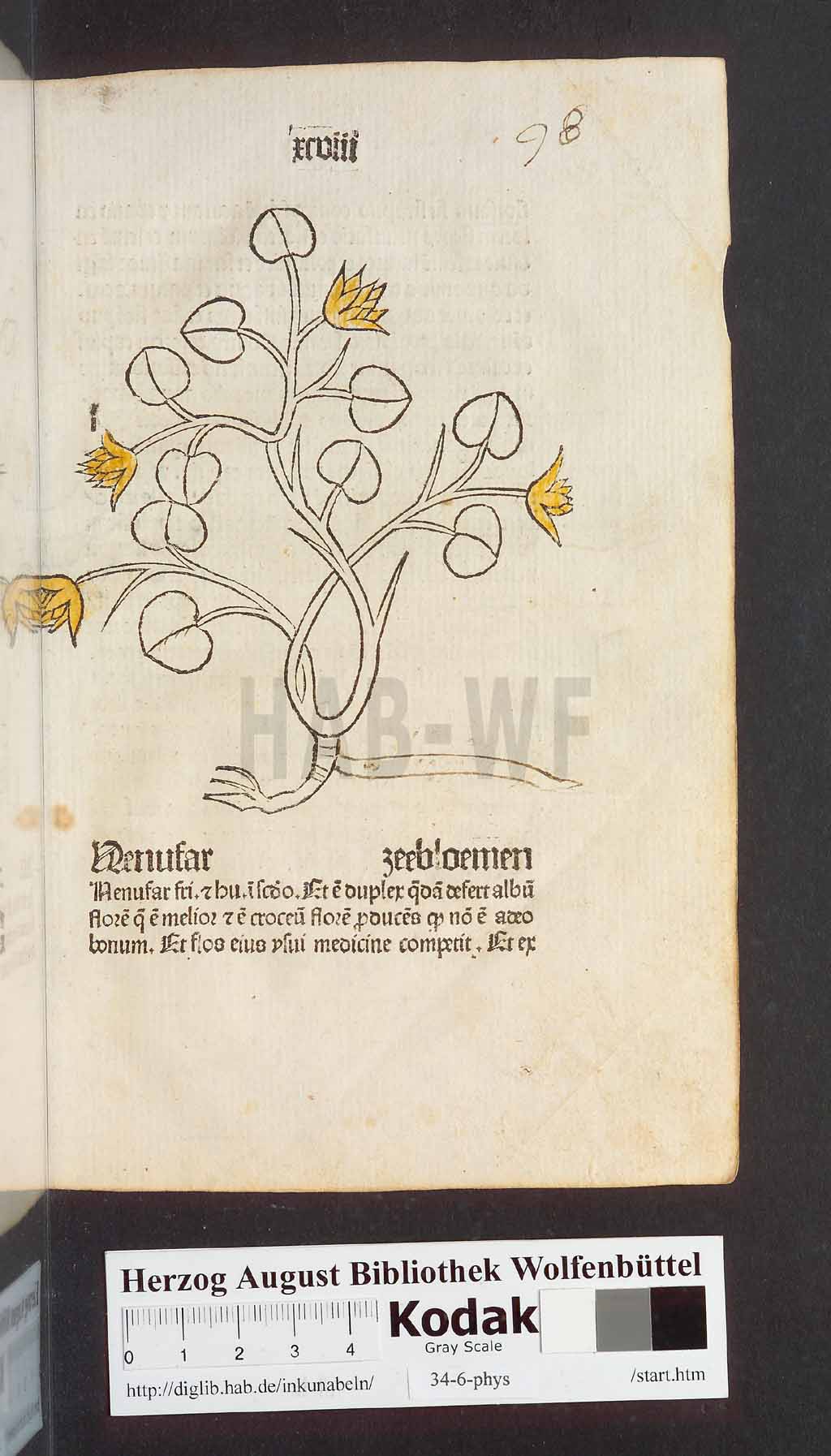 http://diglib.hab.de/inkunabeln/34-6-phys/00199.jpg