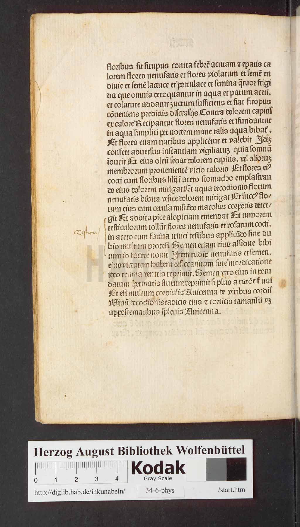http://diglib.hab.de/inkunabeln/34-6-phys/00200.jpg